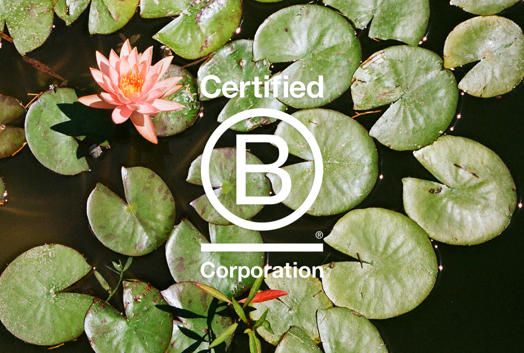 Sowvital: B Corp Certified