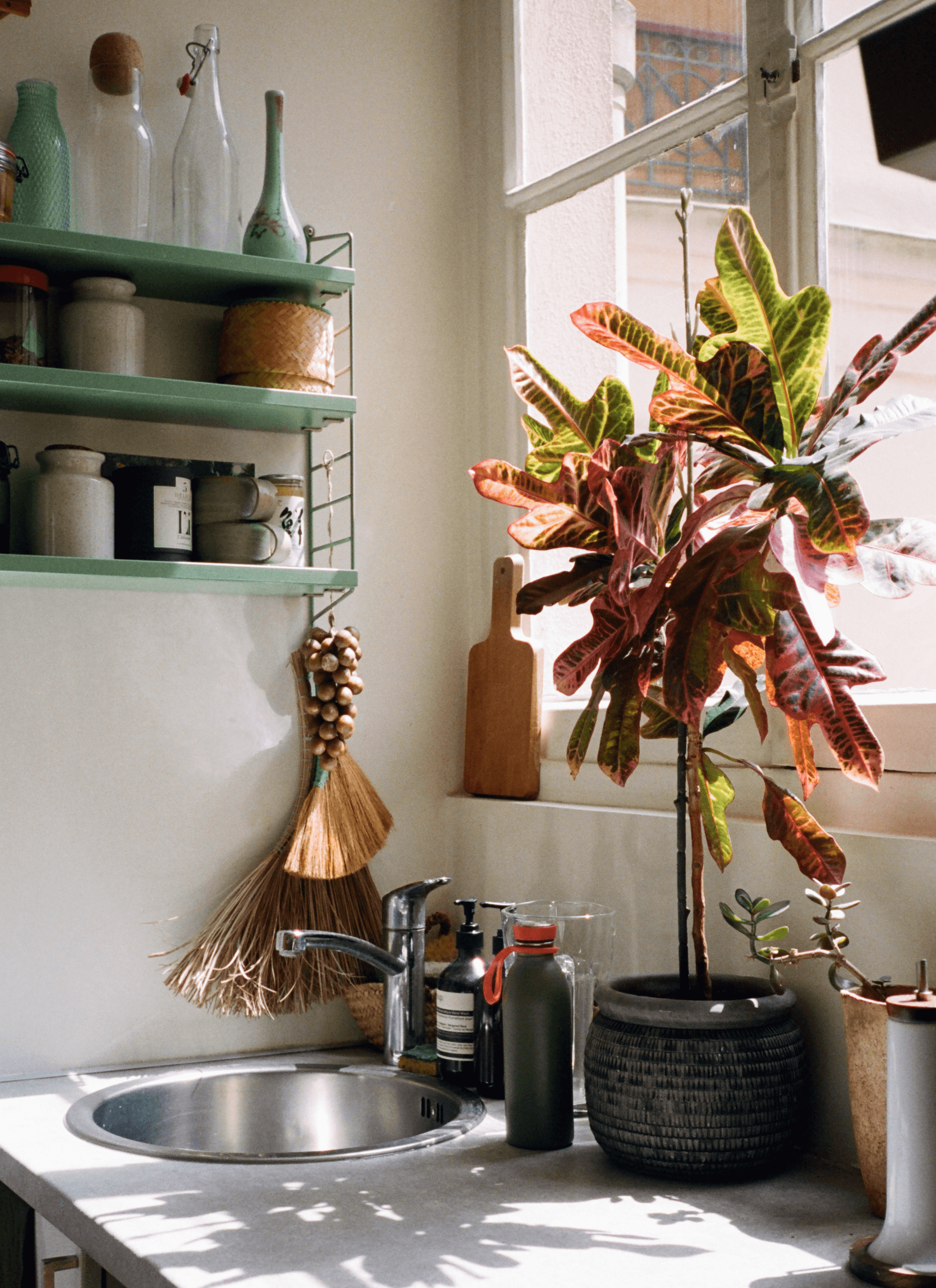 Glassware, ceramic bottles, and cups on the shelf that hung on the wall next to the kitchen sink. And a potted plant with red and green leaves next to the window.