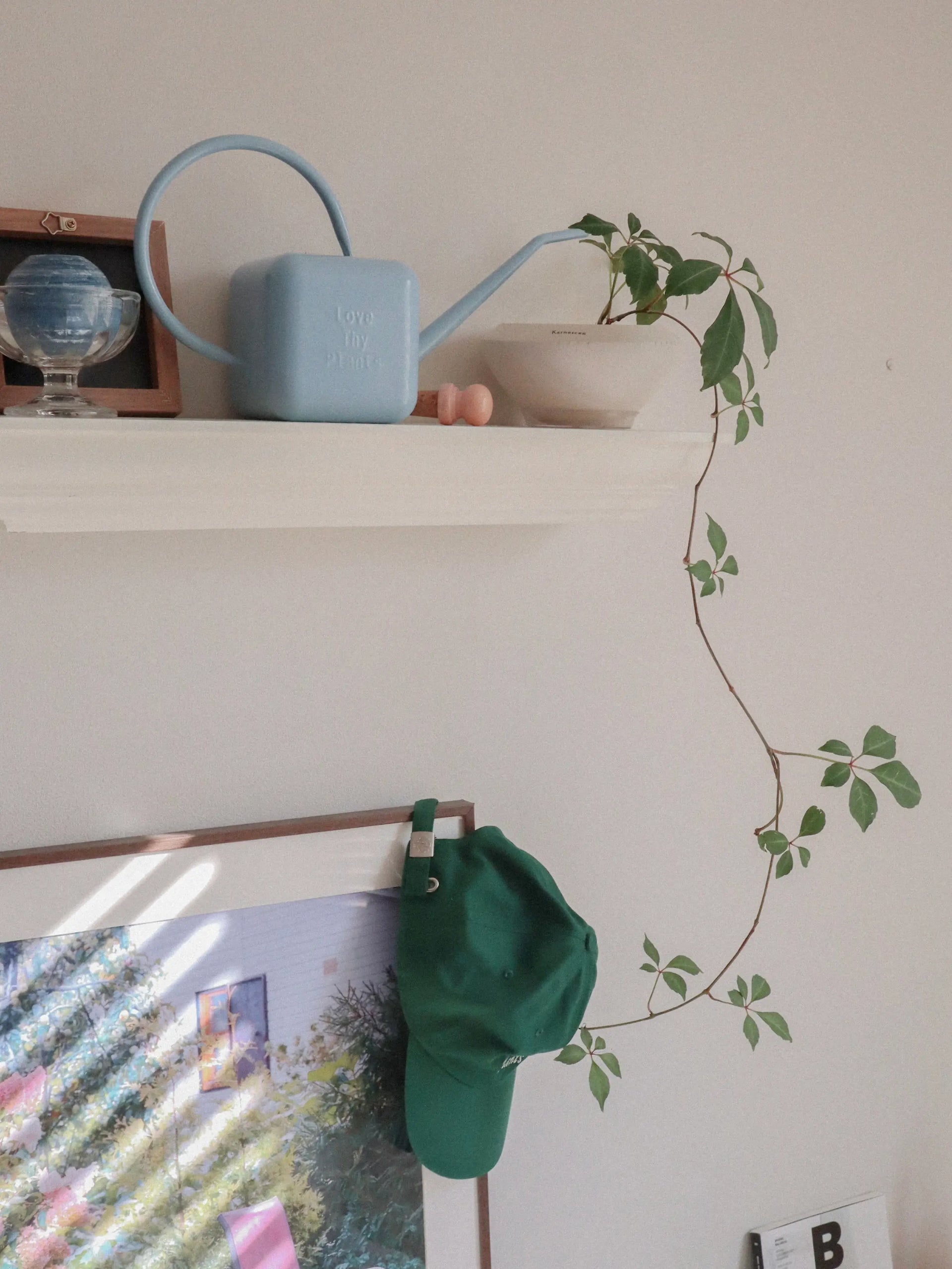 A blue watering can is sat on a shelf in a room next to an elegant plant.