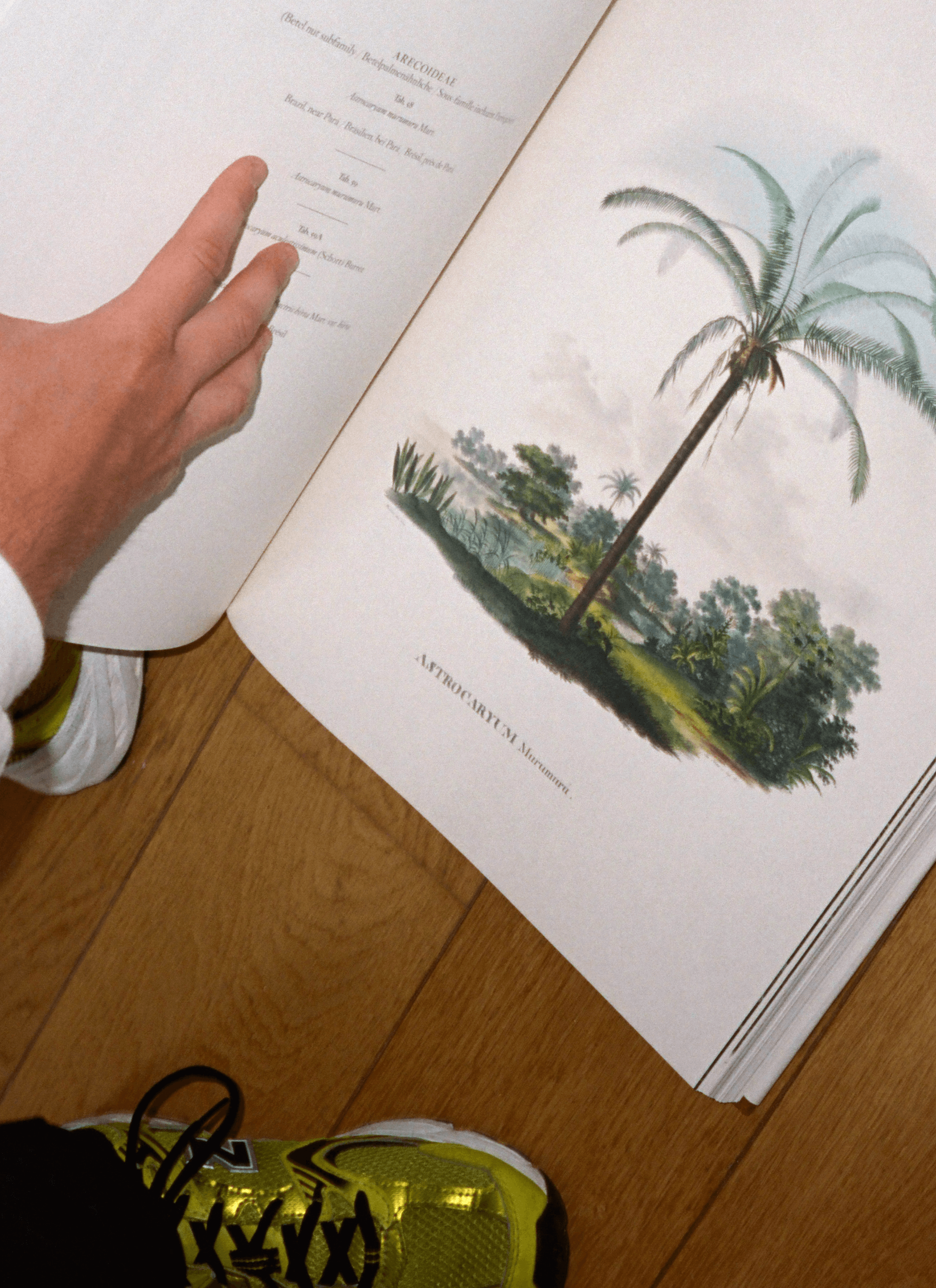 A book was opened with a person’s hand on the floor with a page of painting -  plenty of trees alongside a field of grass near a river with an outstanding coconut tree growing.