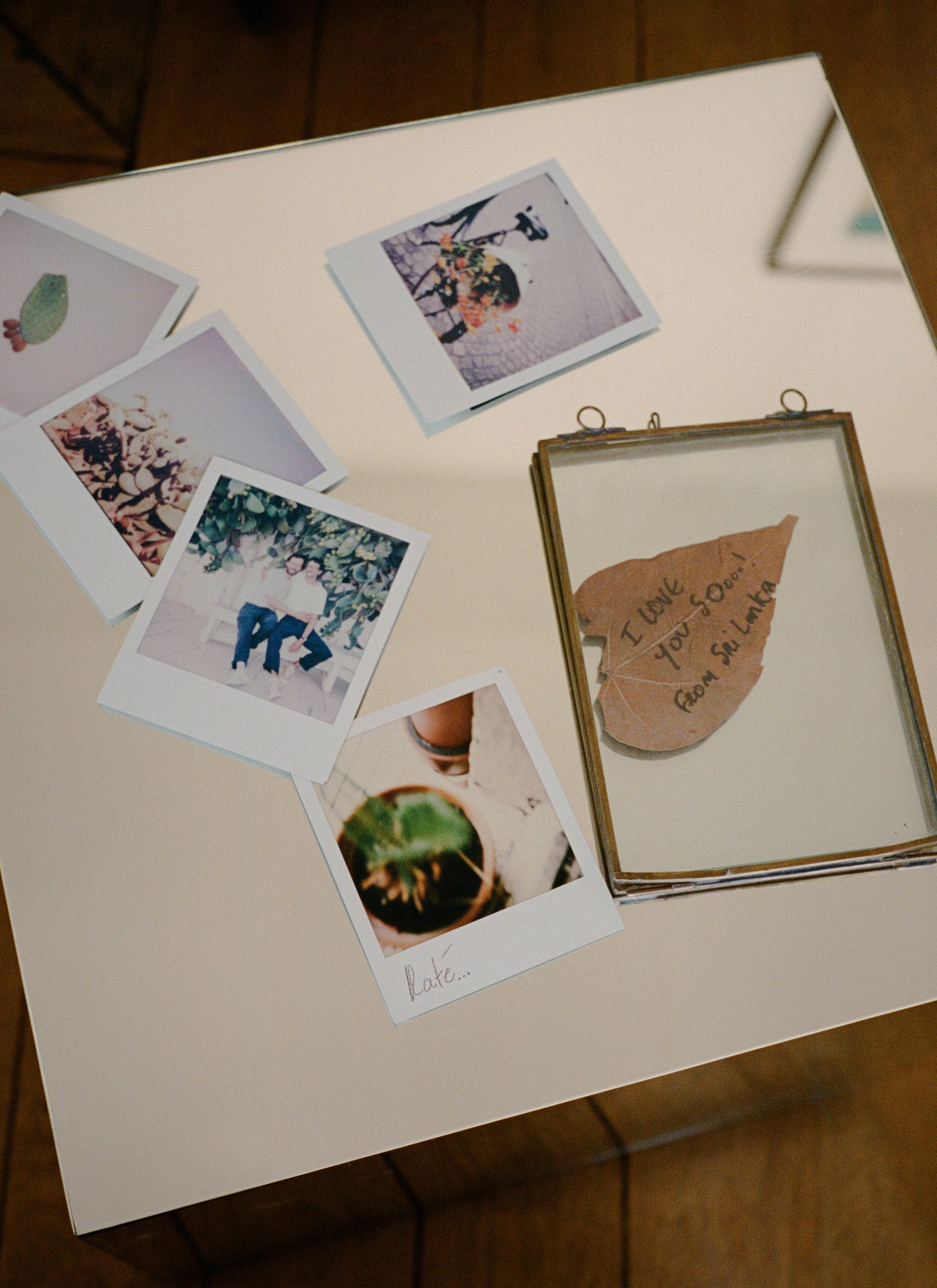 5 pictures of Polaroids on the mirror box with a dried leaf in a sample-like packaging.
