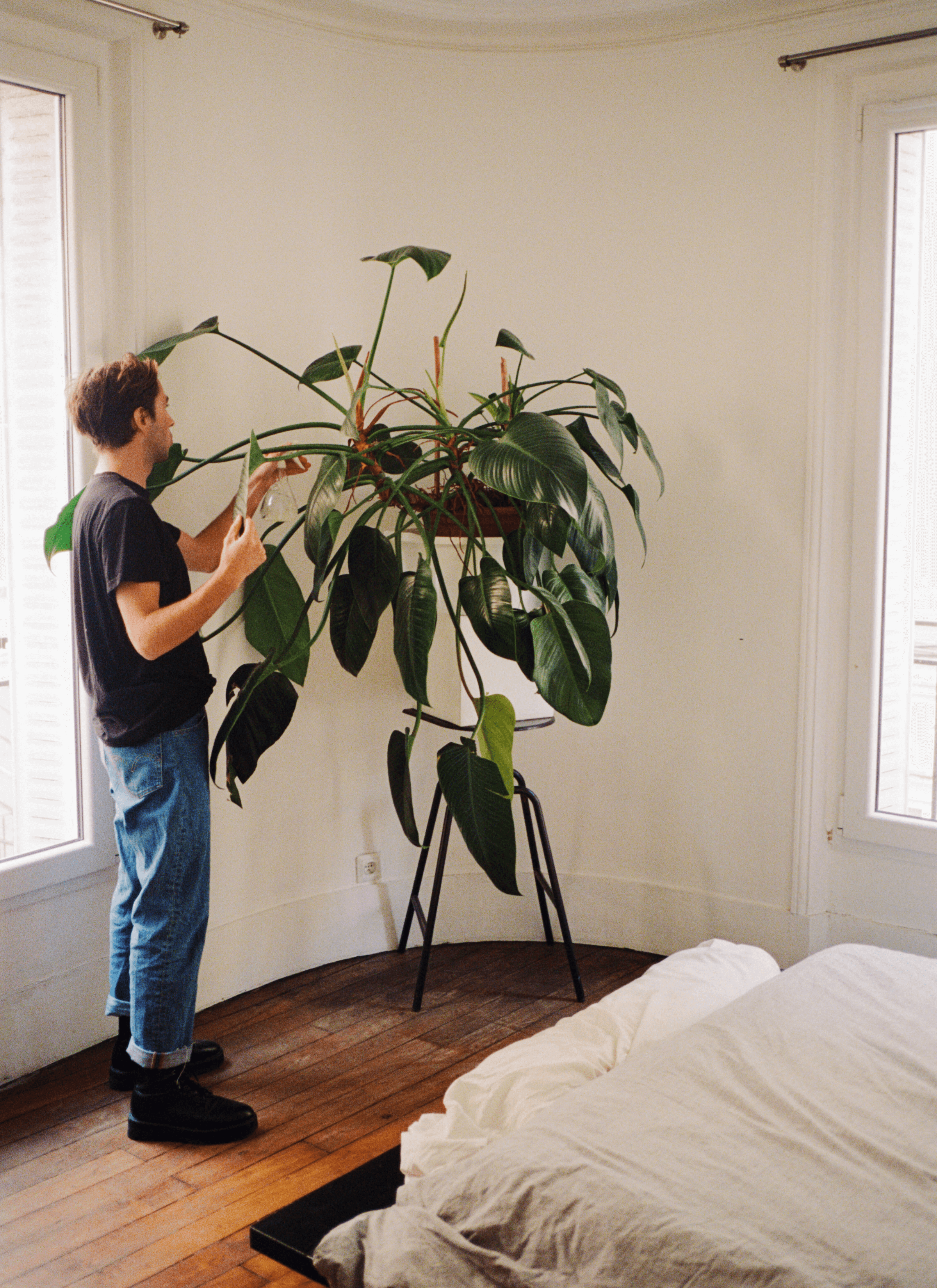 Toni is misting the Philodendron erubescens that sit on a chair in the corner of the room. He is wearing a black t-shirt, blue jeans and a pair of black shoes and there are some windows and a bed in the room.