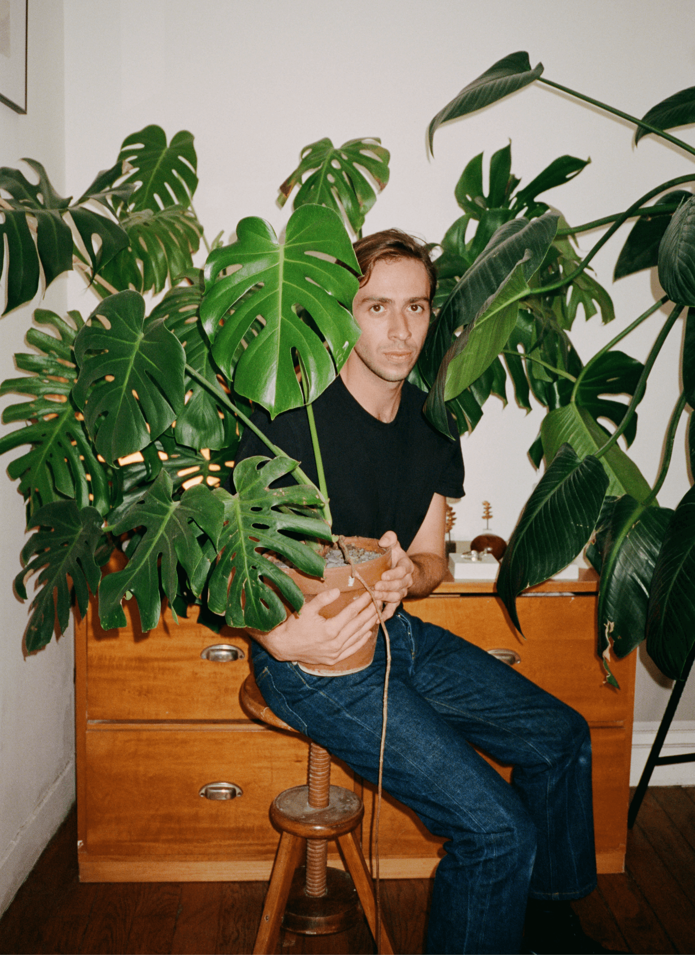 Toni in black t-shirt and a pair of blue jeans while holding a potted monstera in his arms sitting on a chair. There is other plants around him and there is a cupboard behind him align with the wall.