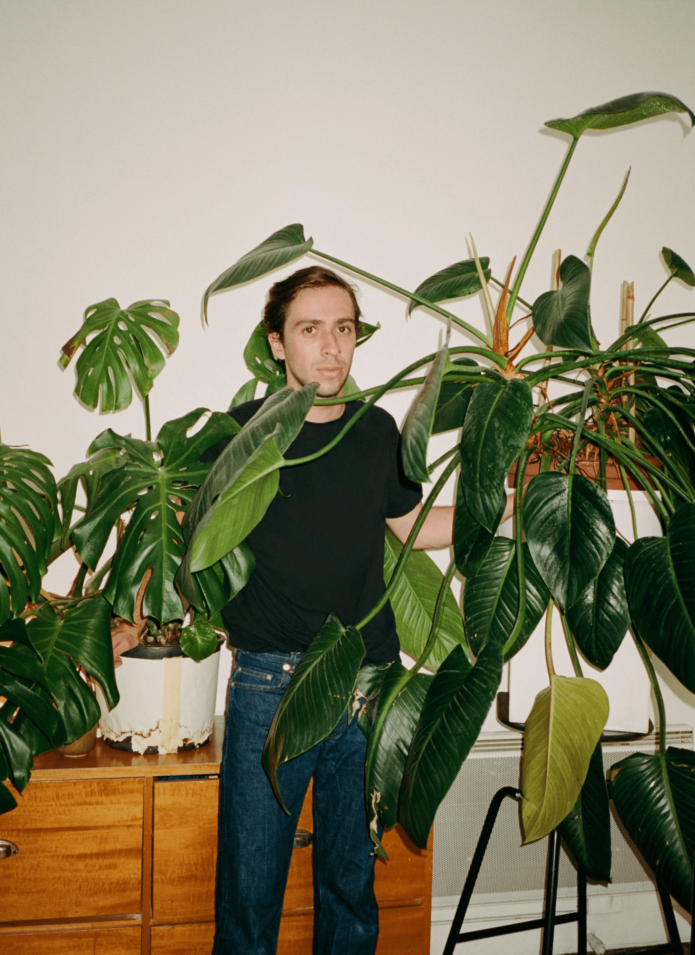 Toni wears a black t-shirt and blue jeans having a photoshoot with his plants - monstera and Philodendron erubescens while standing in front of a cupboard.