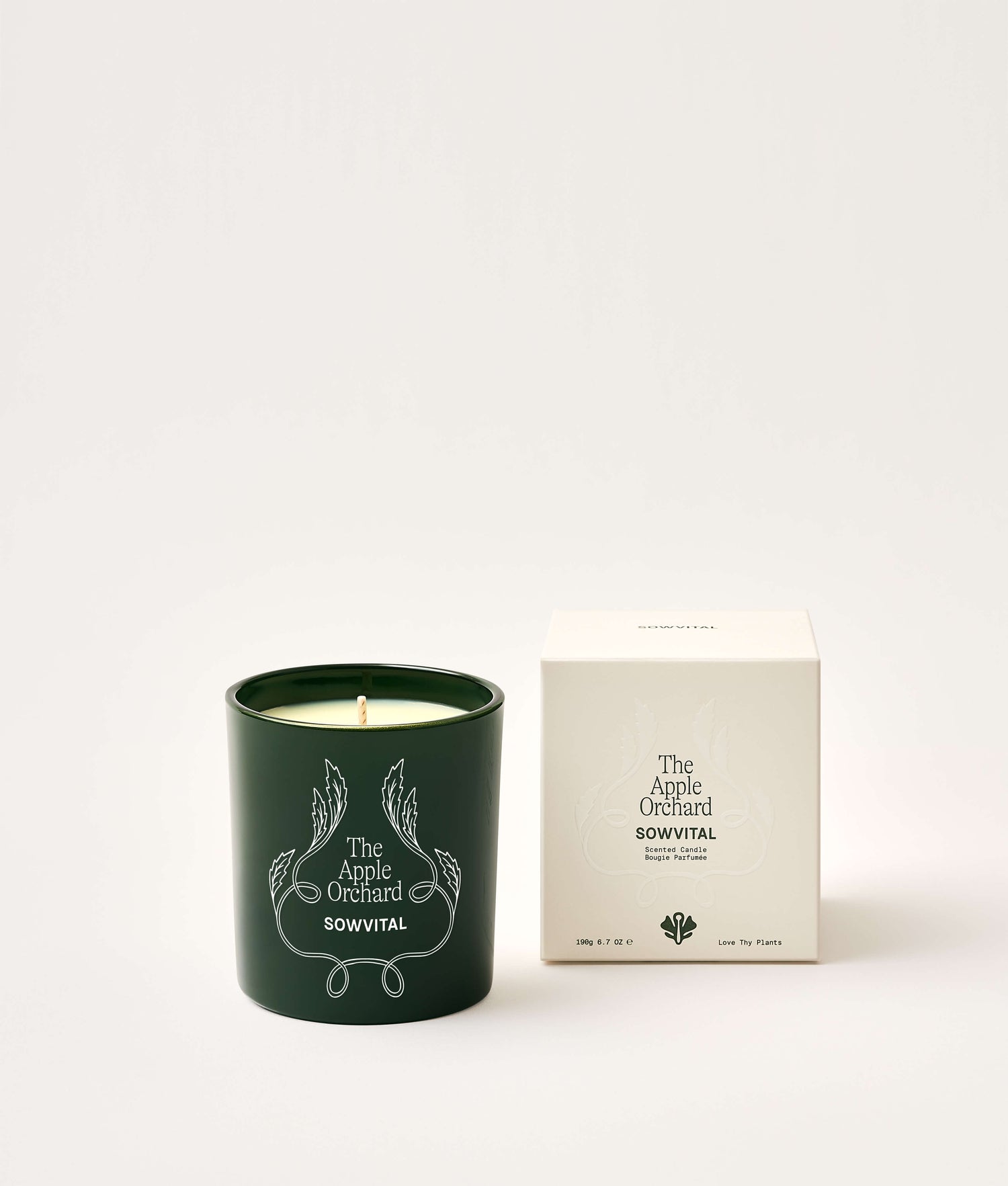 Green candle with 'The Apple Orchard' branding next to its packaging on a white background
