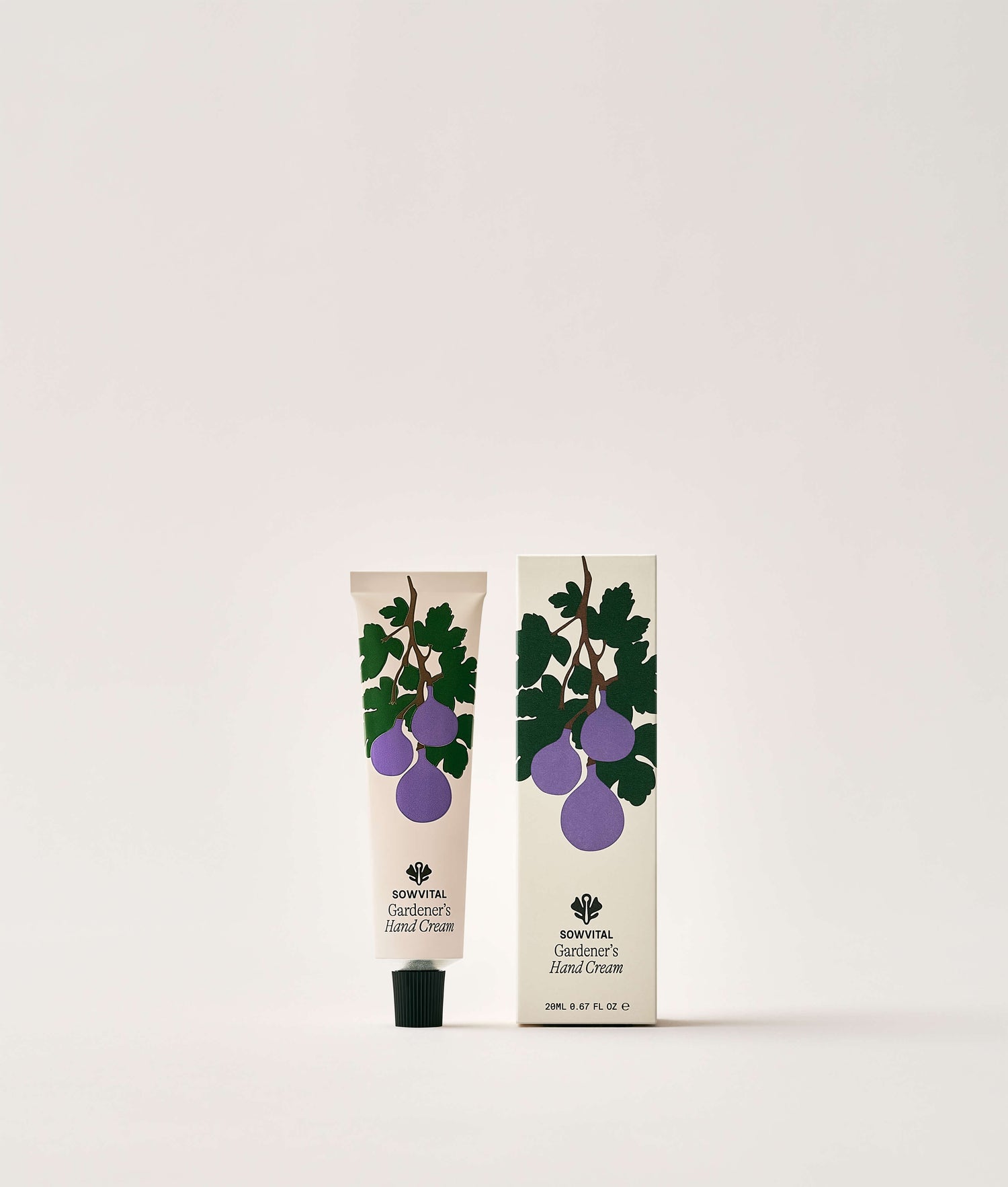 Hand cream tube and packaging with fig design on a white background