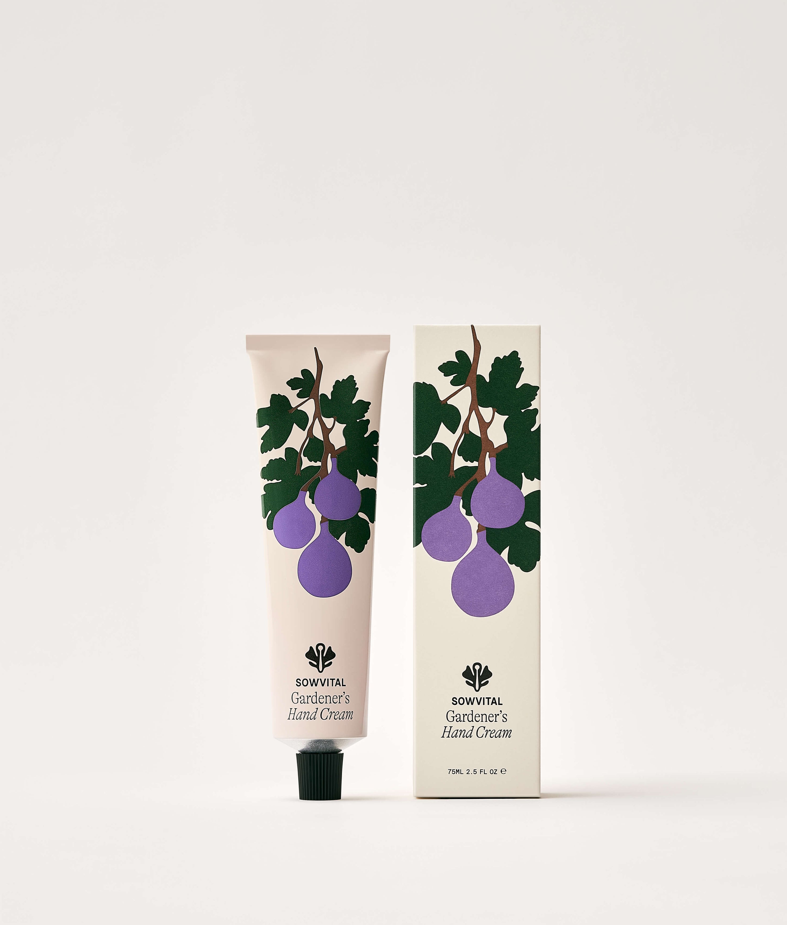 The Fig Tree
