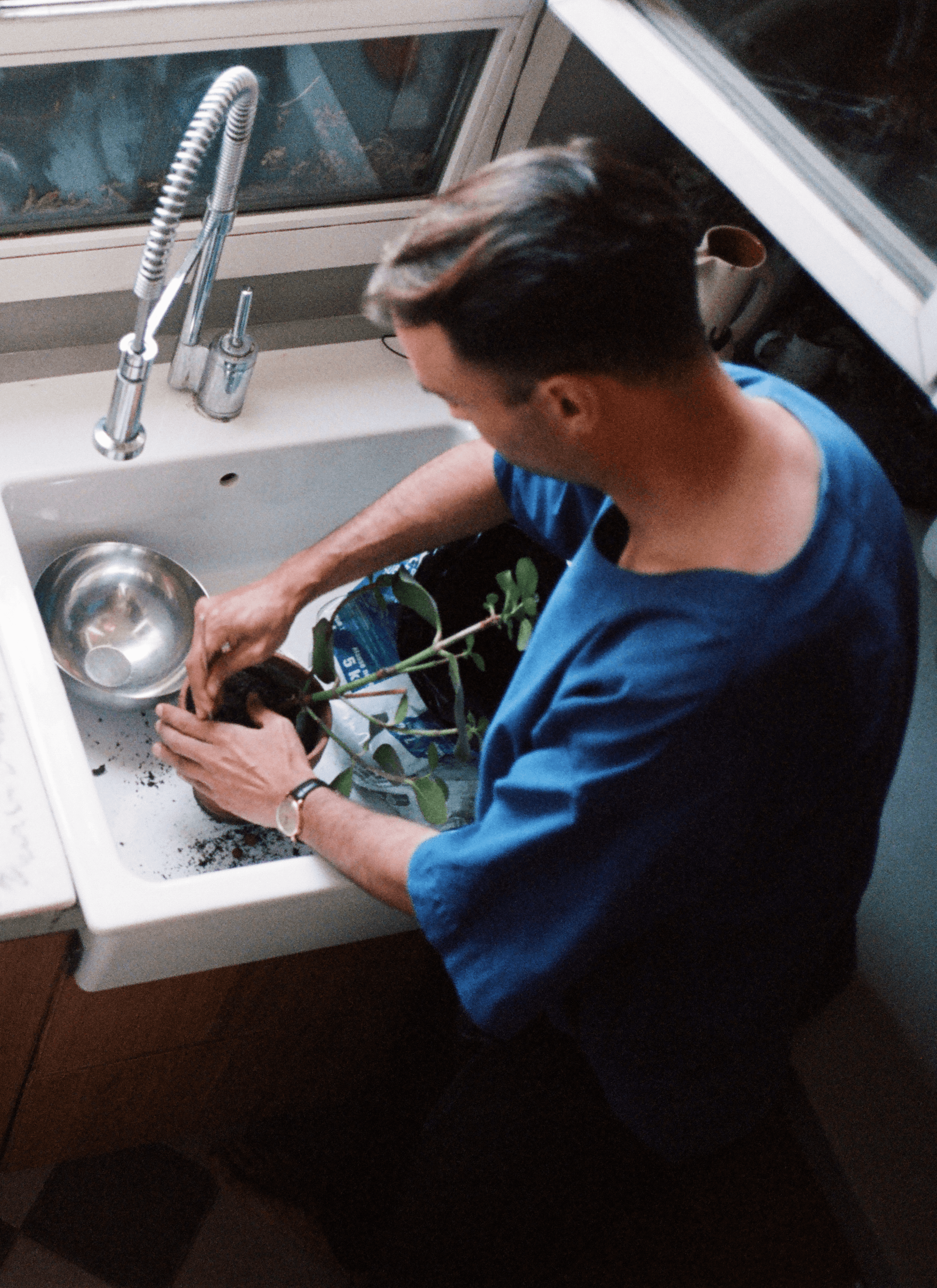 Fred in a blue T-shirt, repotting the plant in the sink and there’s a silver container next to the pot.