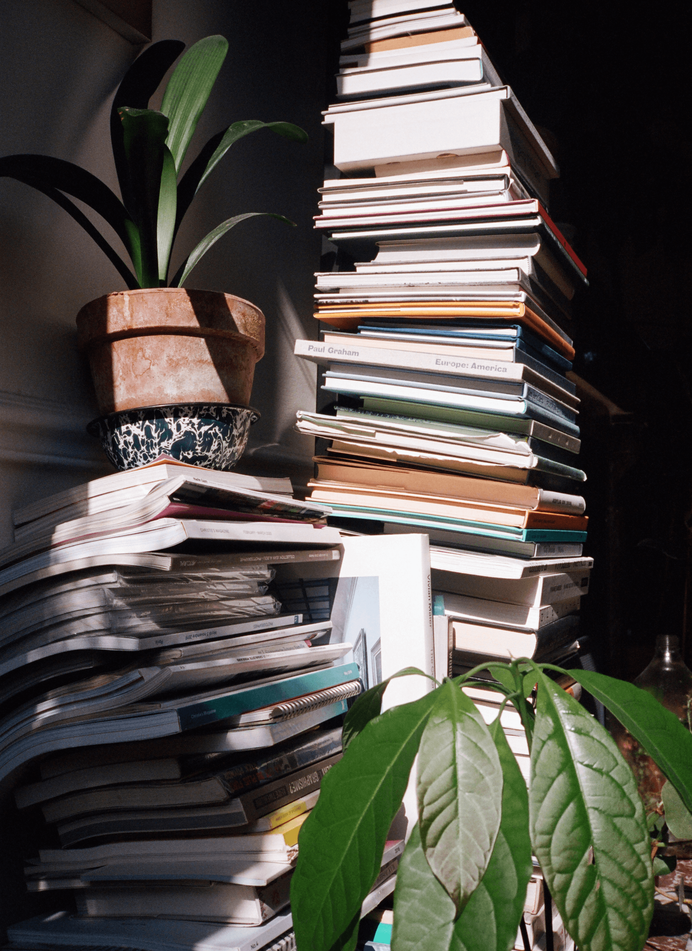 A side-angle photograph of stacks of books with two potted plants.