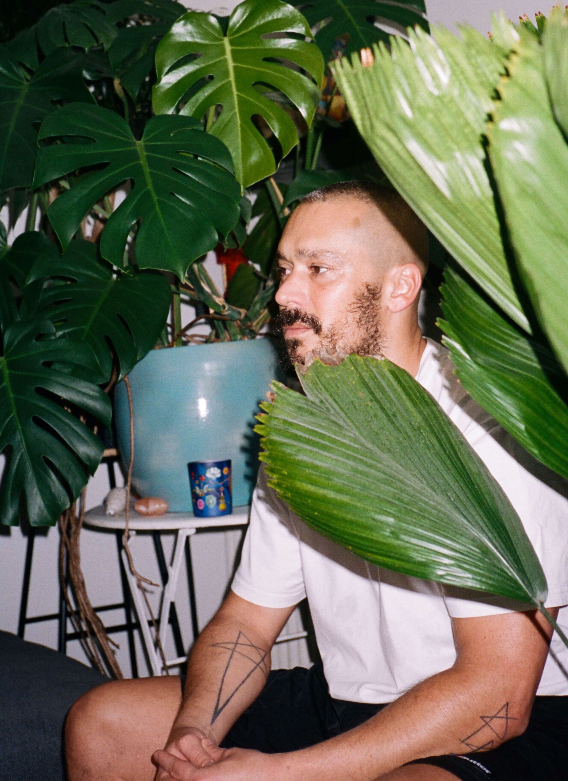 Mathieu sits comfortably on a sofa, surrounded by lush greenery. Palm leaves cascade next to him, creating a verdant backdrop. On the table nearby, a large potted monstera plant in a vibrant blue pot adds a pop of colour to the scene. The combination of natural elements and vibrant hues creates a visually pleasing and tranquil atmosphere, inviting relaxation and connection with nature.