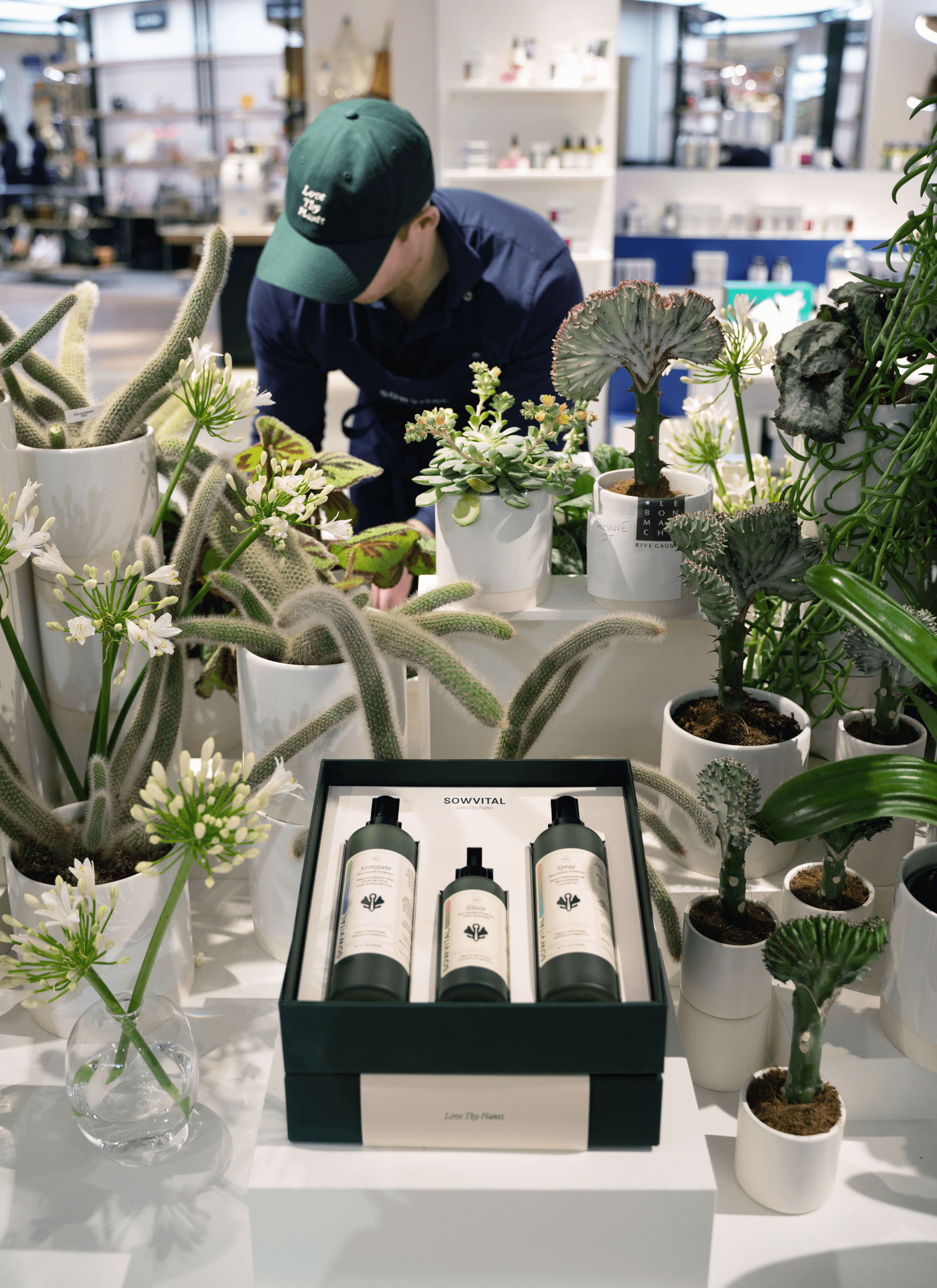 Sowvital's three-step gift set is elegantly showcased on the surface, complemented by a diverse array of potted plants, flowers, and cacti. In the background, a staff member wearing a green Love Thy Plants cap and a black apron attentively tends to the display, ensuring its beauty and vitality.