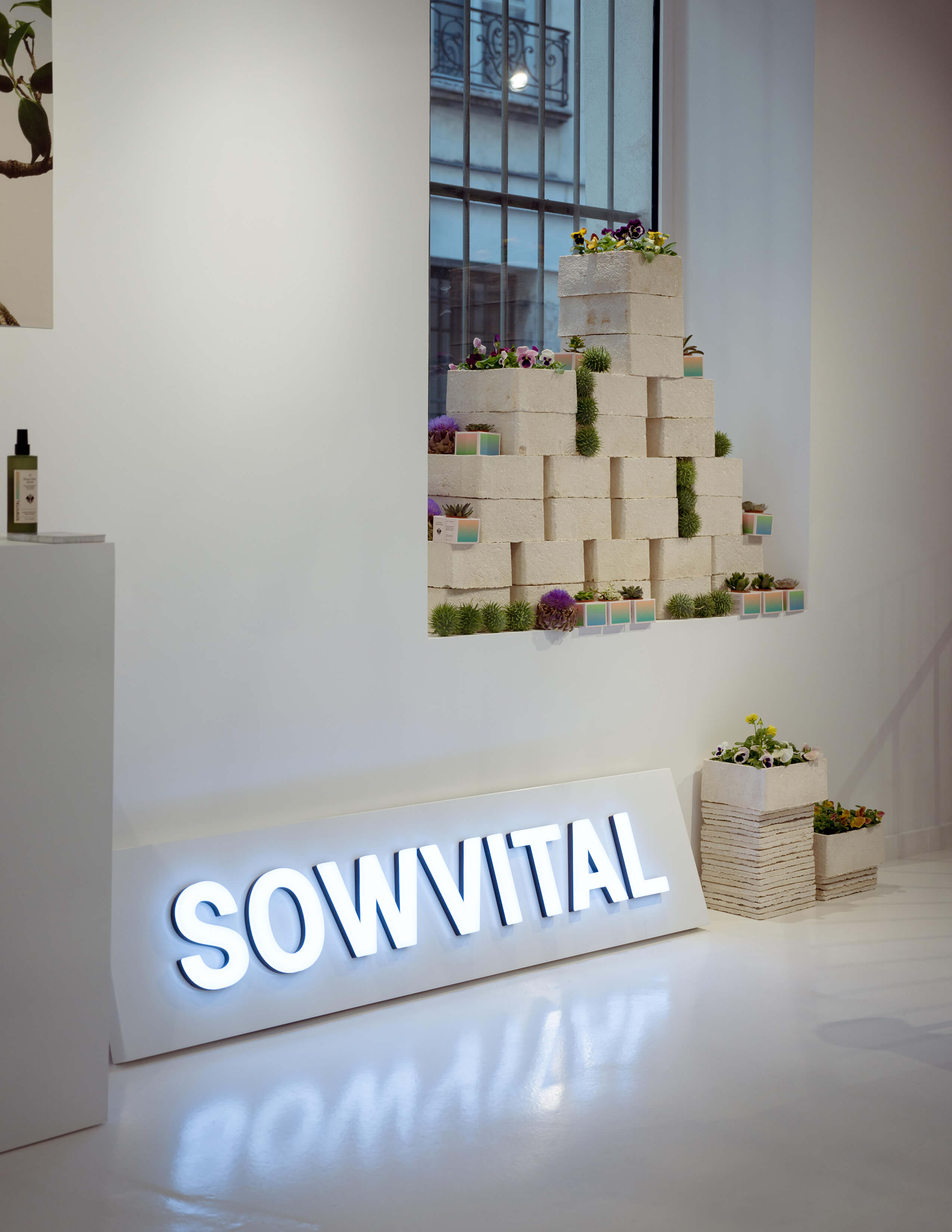 Sowvtital brand with neon lights on the floor while there are white boxes filled with different kinds of plants and flowers.