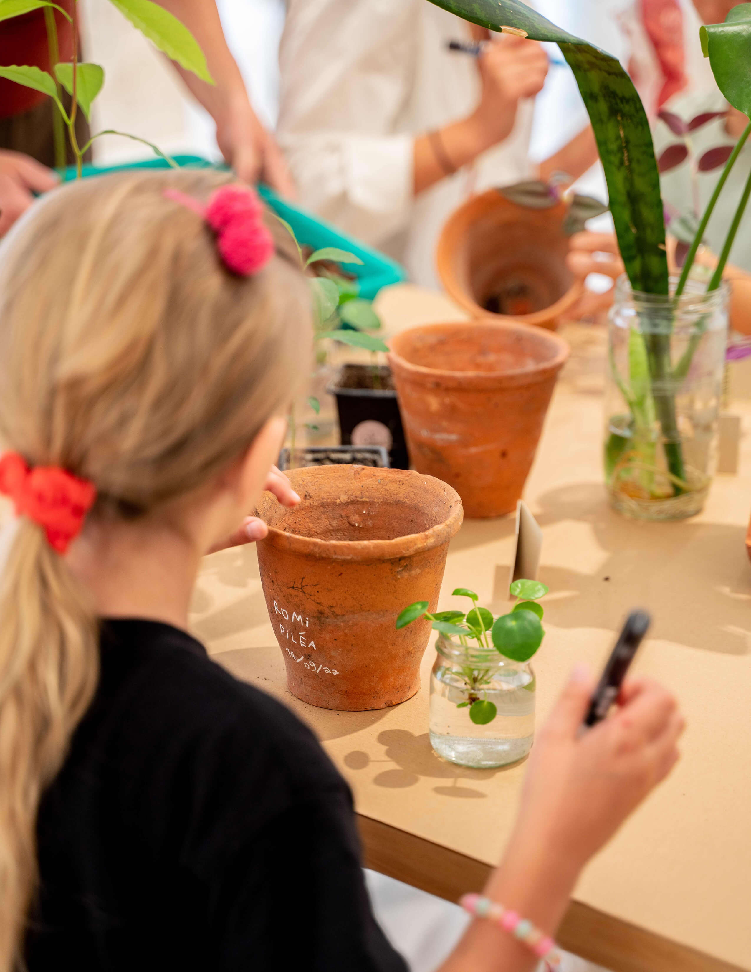 Three terracotta-like pots are on the table and some plants grow from glassware that can see through their roots.