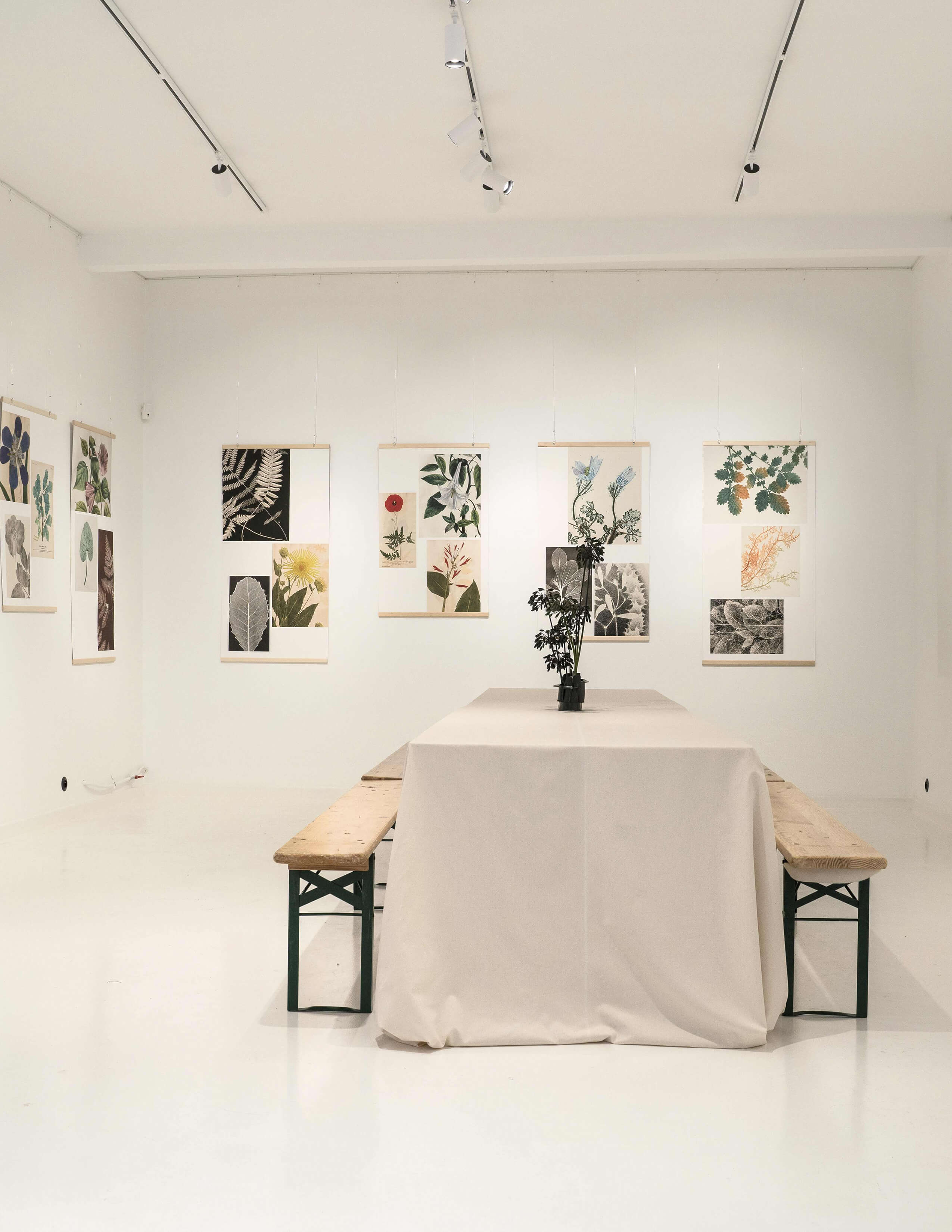 A table with a tablecloth on it and a pot of plants sitting in the middle of it. Different pieces of art hung on the wall.