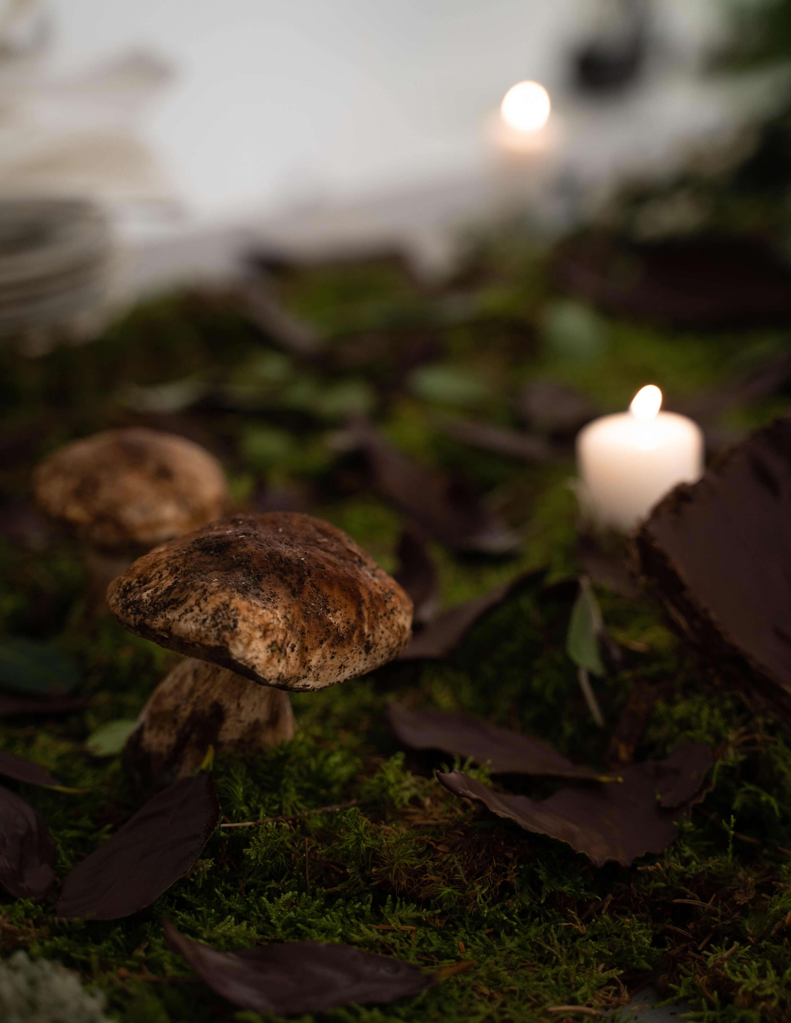 Mushrooms grow among the moss while loads of dark leaves lie around including some candles.