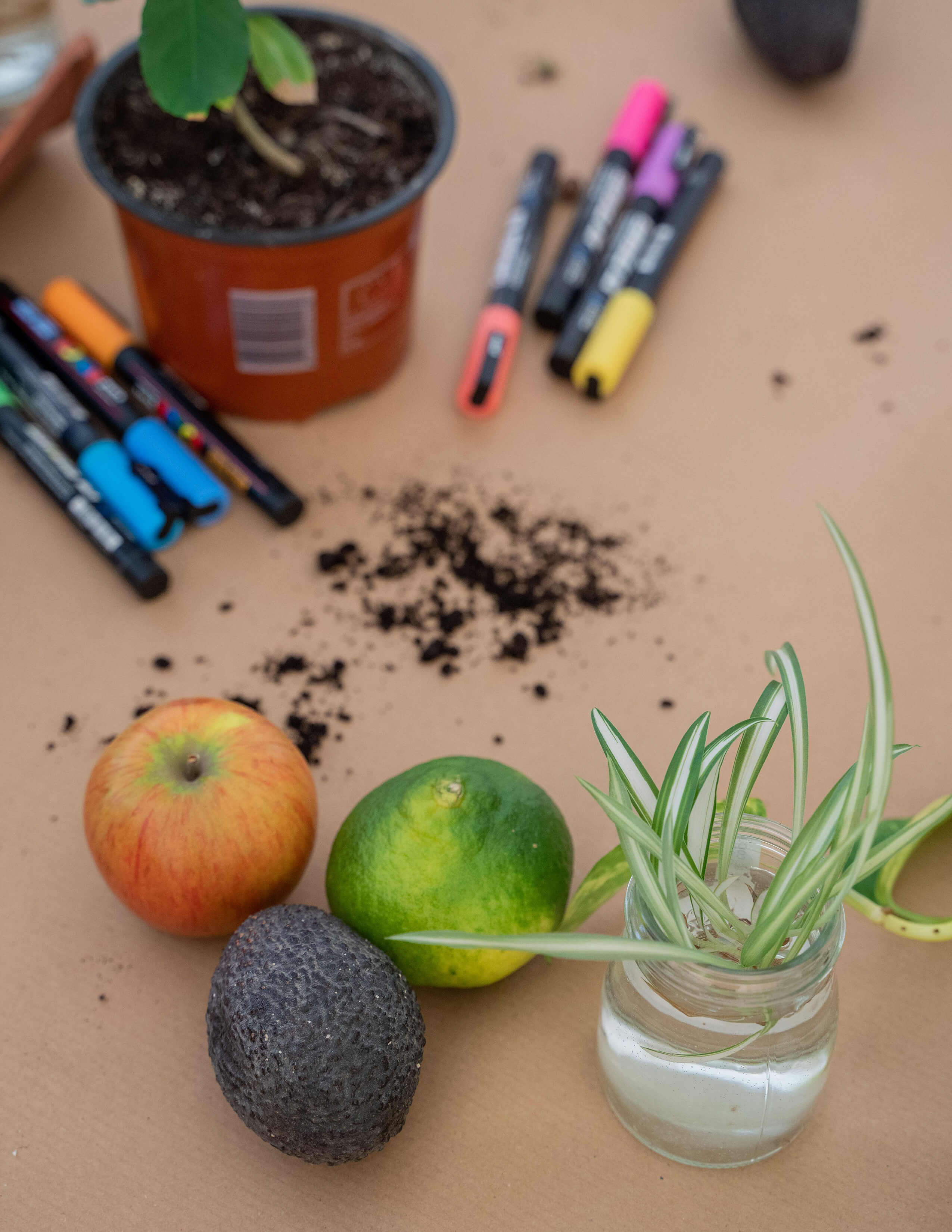 An apple, lime, avocado and Chlorophytum comosum grow in a jar of water on the table while there are crumble of soil, some pens and a pot of plants around.