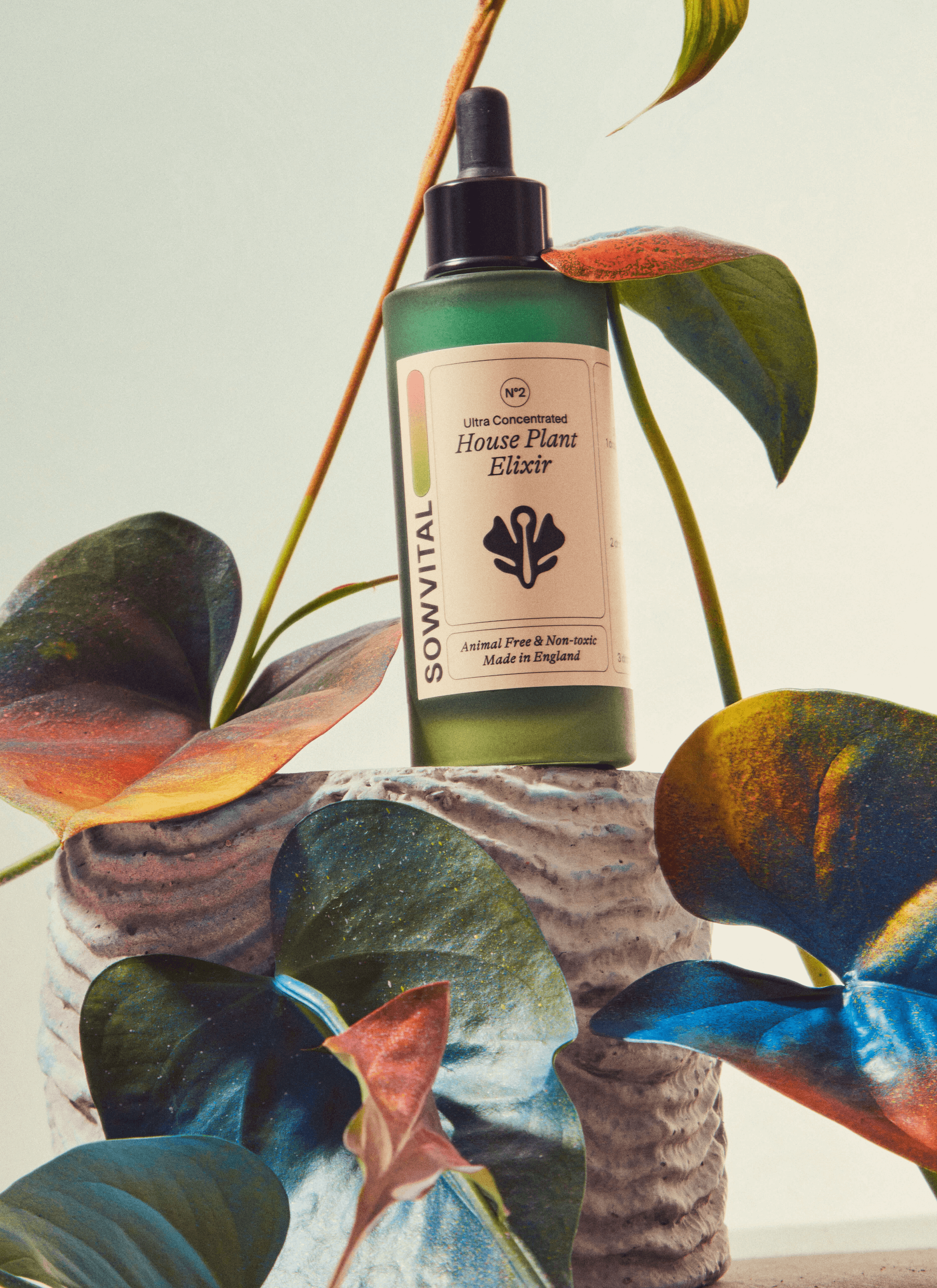 The Sowvital product - house plant elixir on a stone-like object with colourful leaves.
