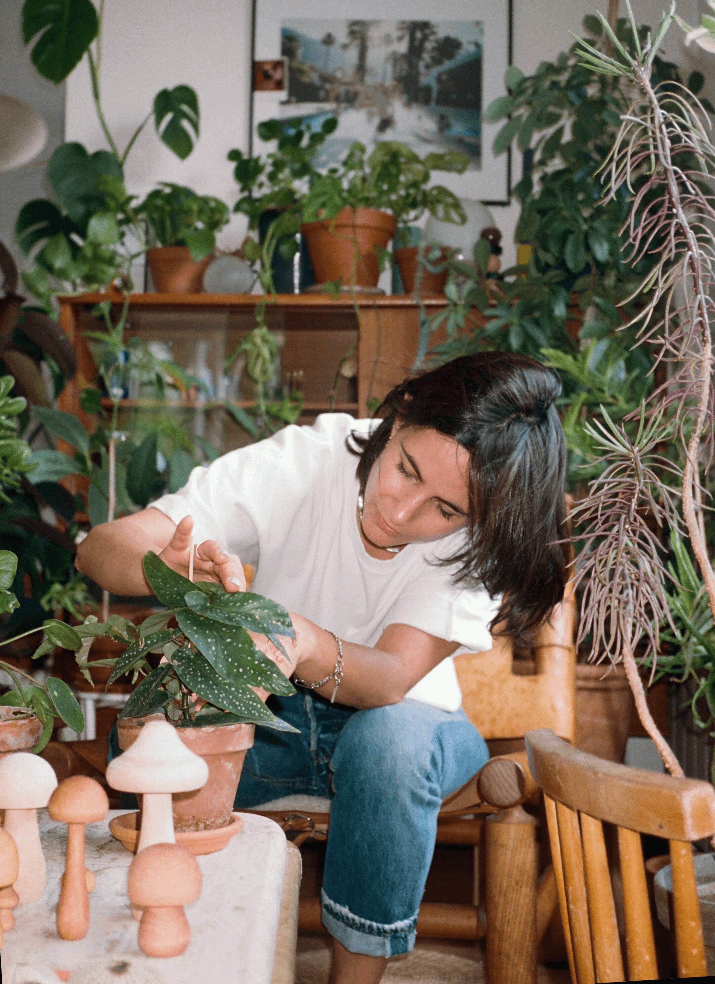 Leslie David takes care of a pot of plant in her studio which are covered with a full collection of plants in the room. And there are some mushroom-shaped wooden decorations on the table.