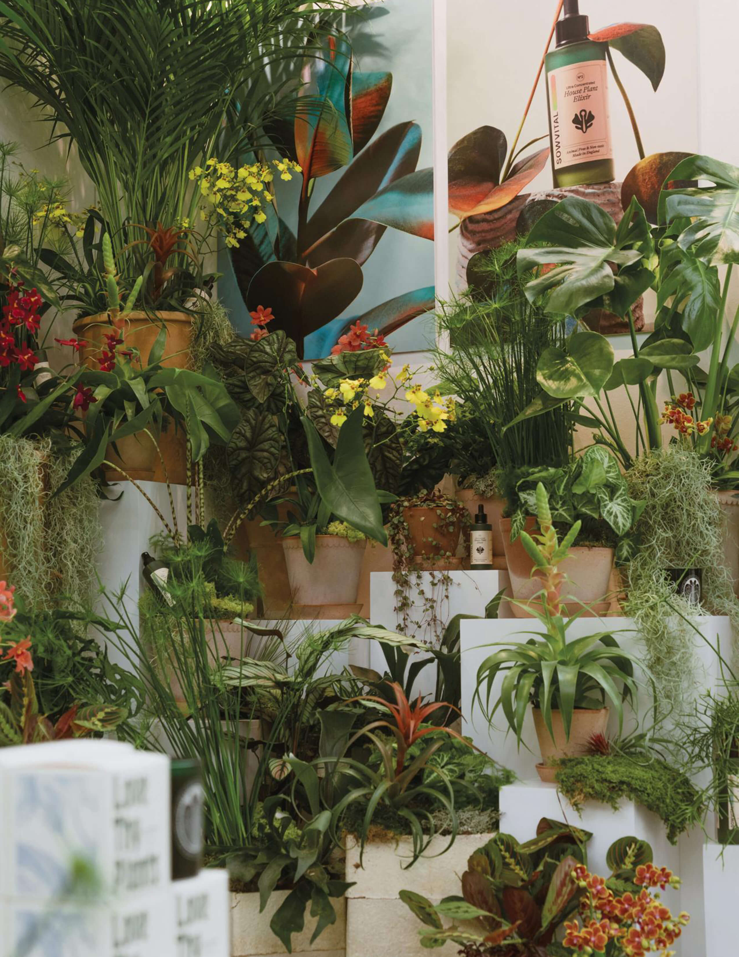 A massive collection of various potted plants and flowers were displayed with Sowvital’s house plant products and there were 2 product posters behind on the wall.