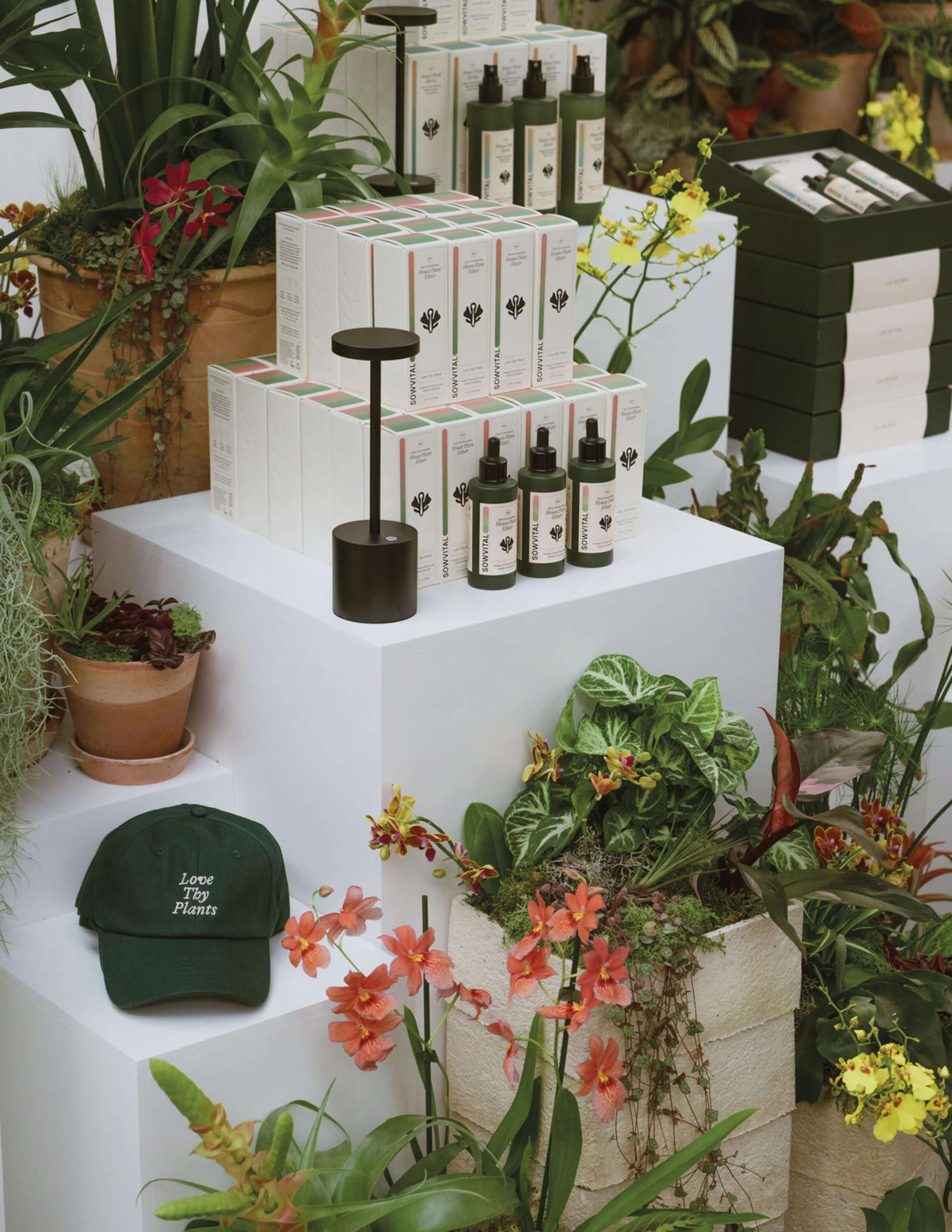 The Sowvital house plant products are displayed and organised while being surrounded by different kinds of plants and orchids.