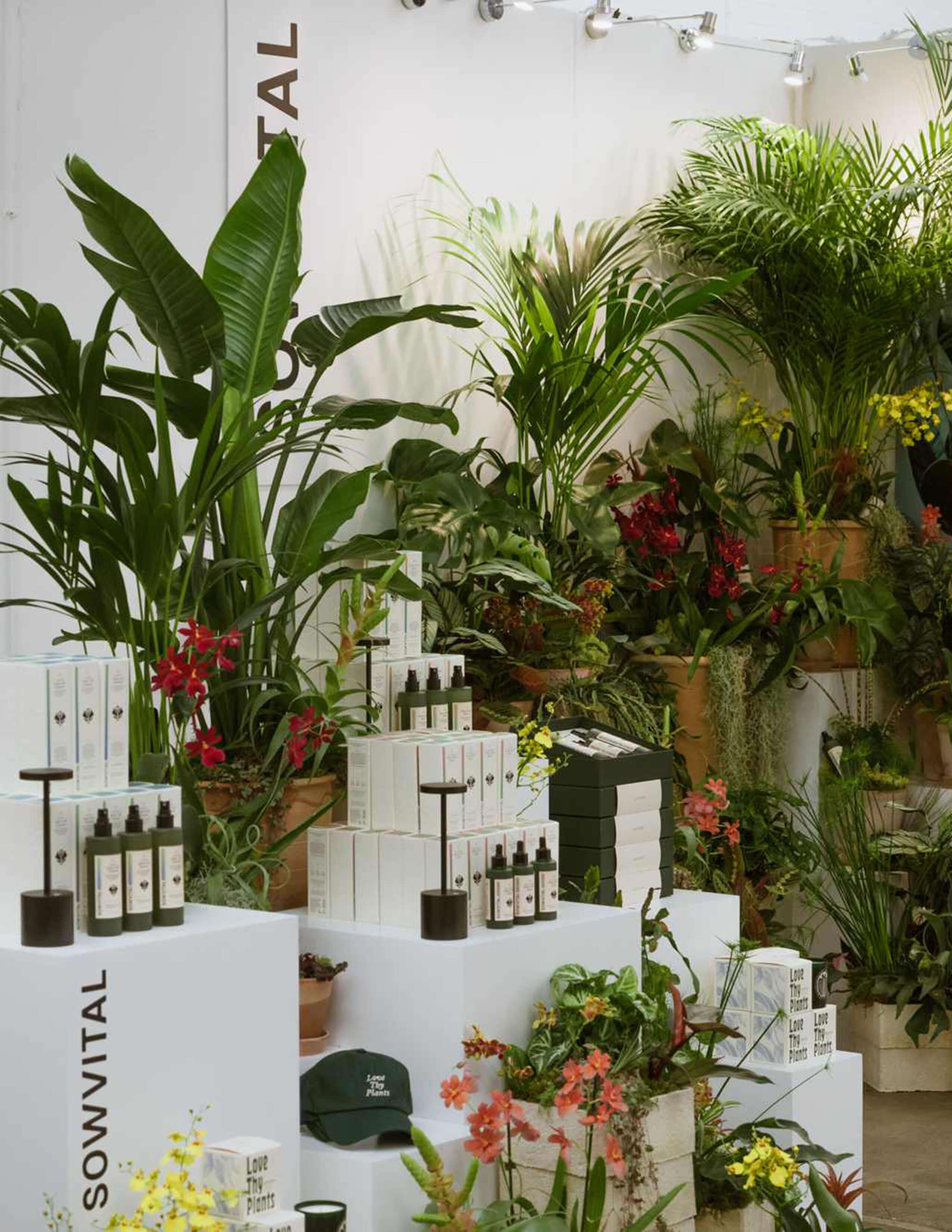 The Sowvital house plant products display with caps, mugs and an extensive collection of different plants/flowers.