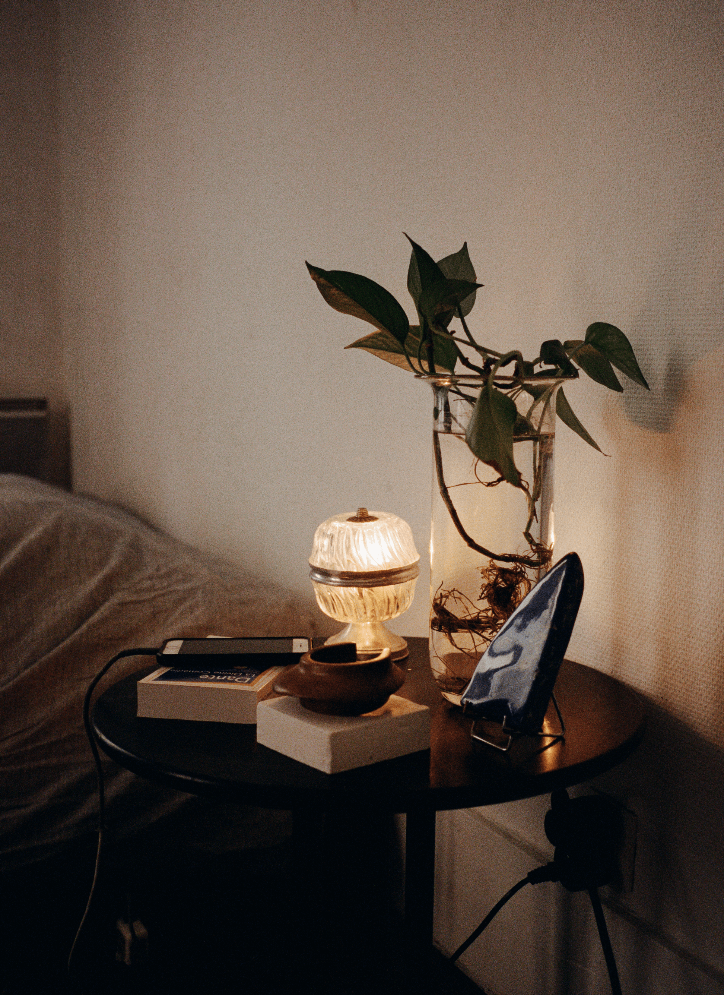 A propagation plant sits in a glass jar with water on the table while there's a table lamp, books, objects and a phone.