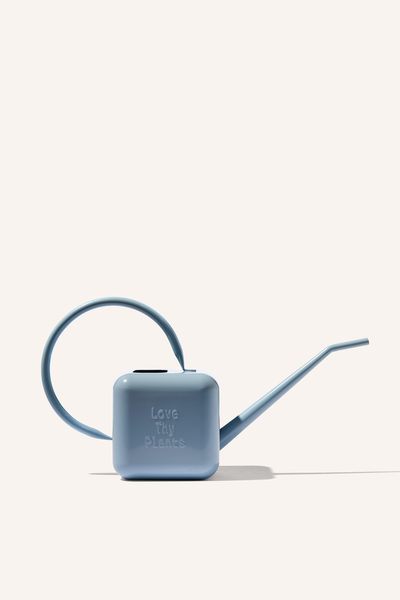 A blue stainless steel 1.25 litre watering can, embossed with the phrase "Love Thy Plants".