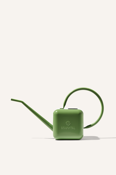 A fern coloured stainless steel 1.25 litre watering can, embossed with the Sowvital logos.