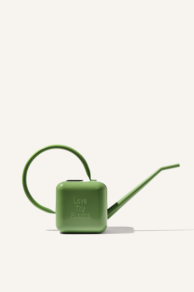 A fern coloured stainless steel 1.25 litre watering can, embossed with the phrase "Love Thy Plants".