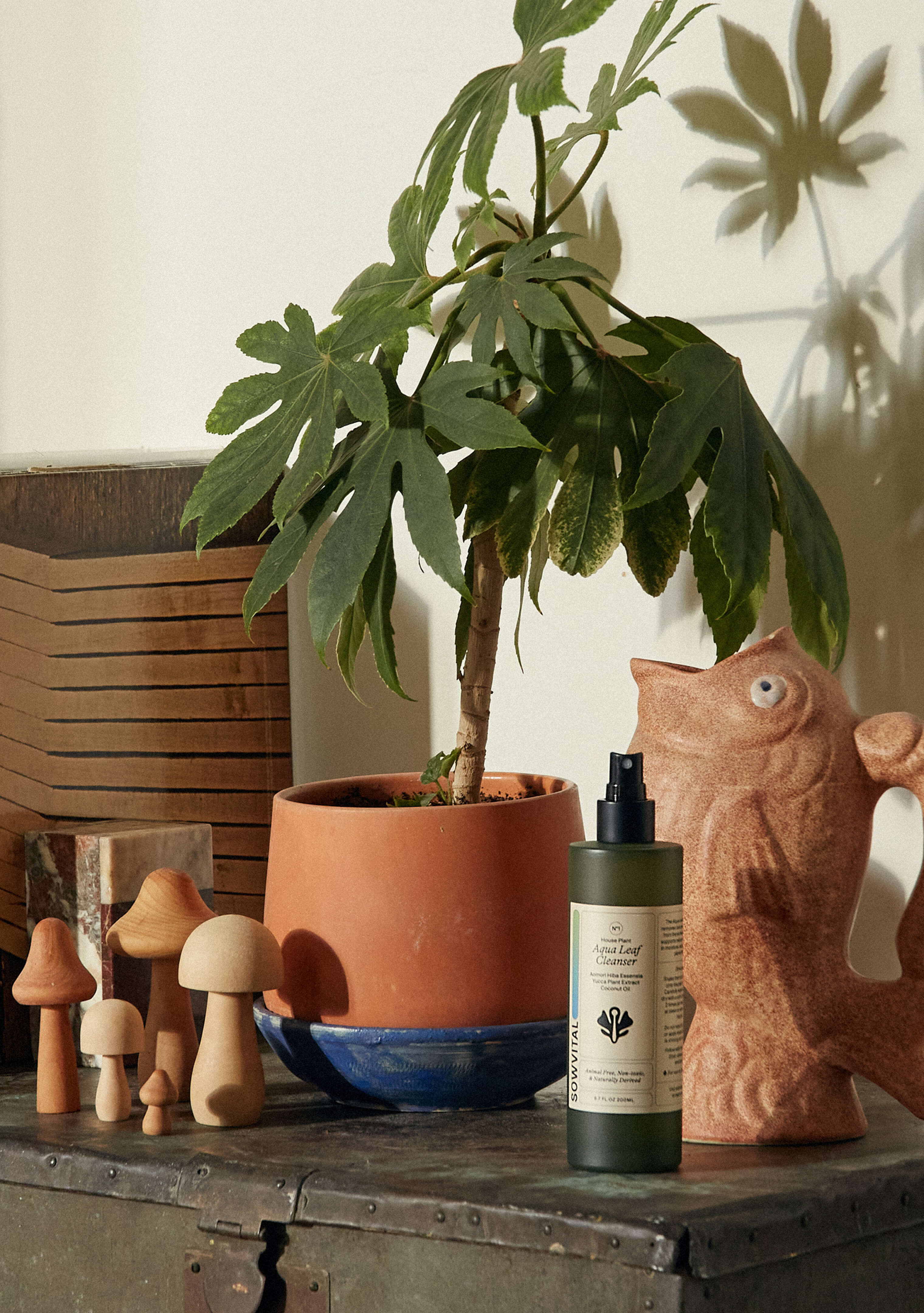 Sowvital aqua leaf cleanser sitting on the table next to a opened-mouth fish statue, a potted paperplant and some wooden-made mushroom decorations.