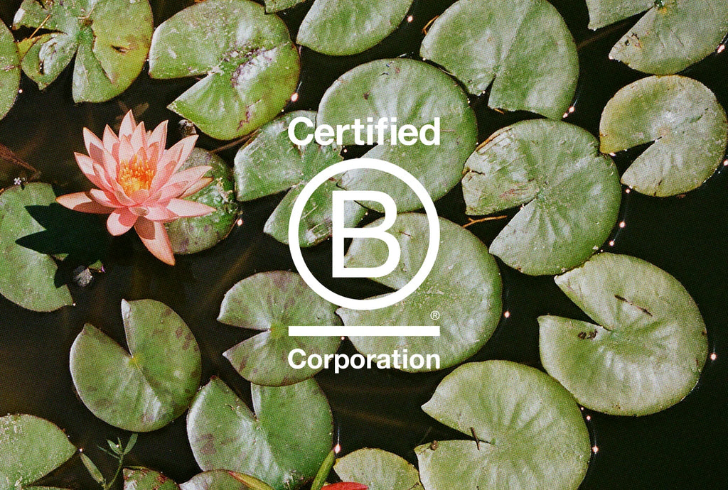 Sowvital is B corp Certified