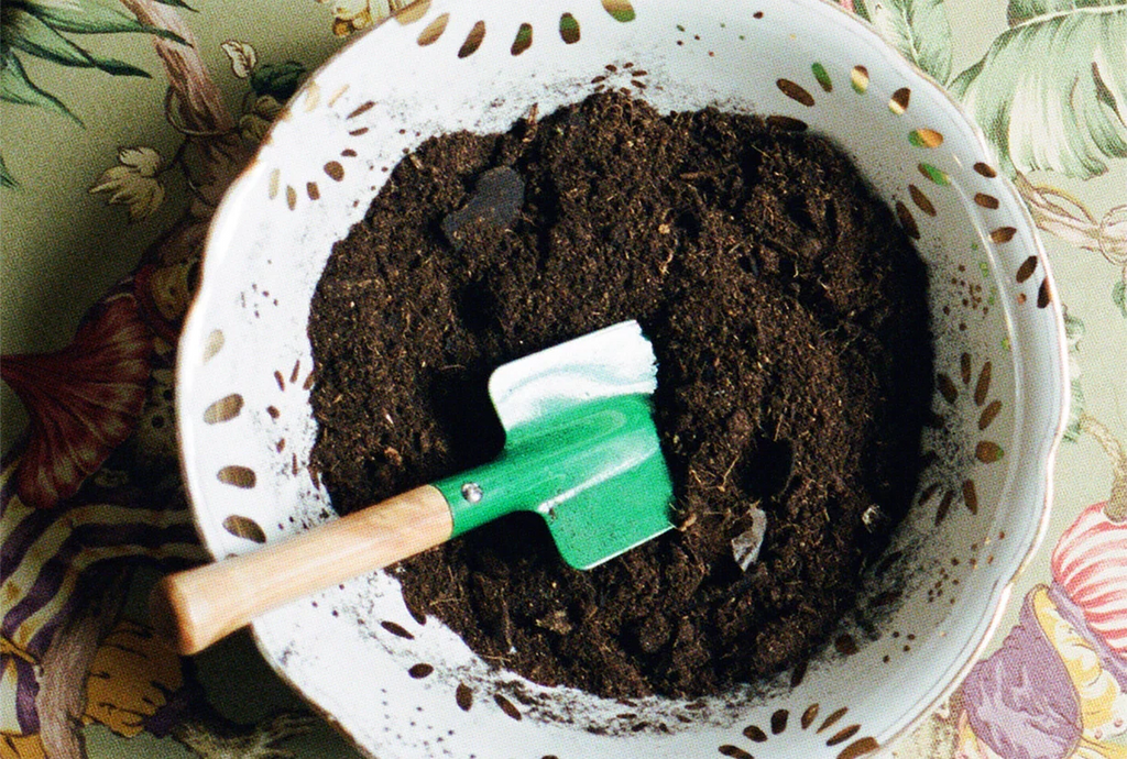 Making Soil For Indoor Plants