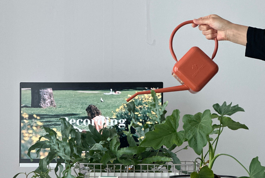 Someone using a Sowvital watering can to water their house plants in front of a tv. 