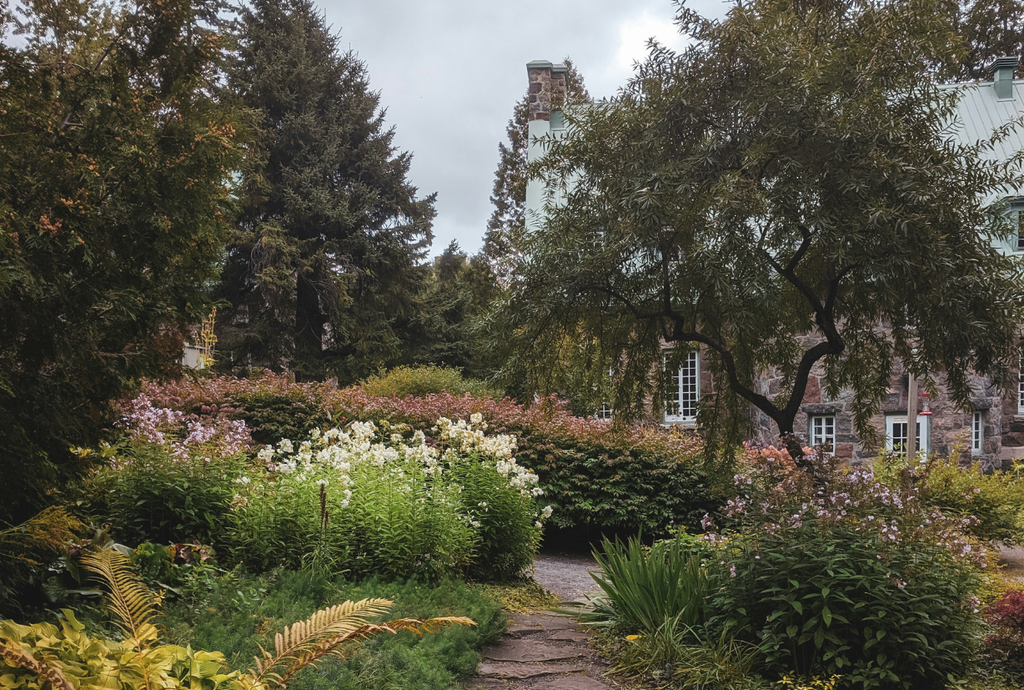 A beautiful garden with a pond, shrubs, flowering plants and large trees.