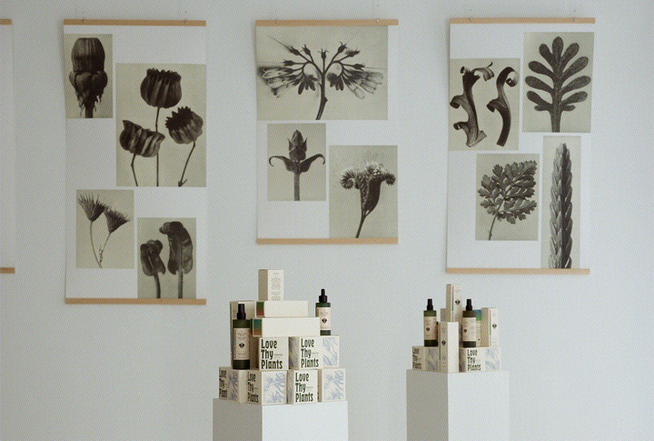 Sowvital Paris 2022: Celebrating Art, Nature, and Creativity