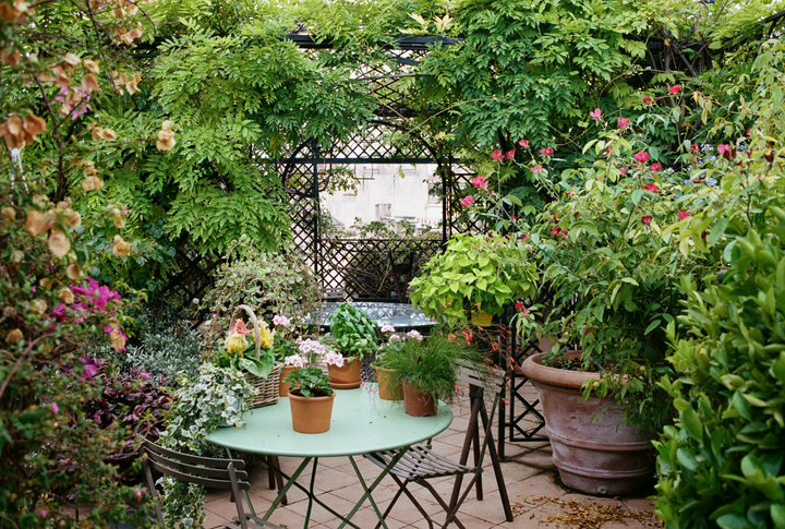 Small Garden Ideas