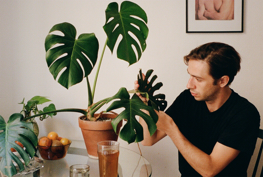 Avant Gardener Profile: Toni Dahan