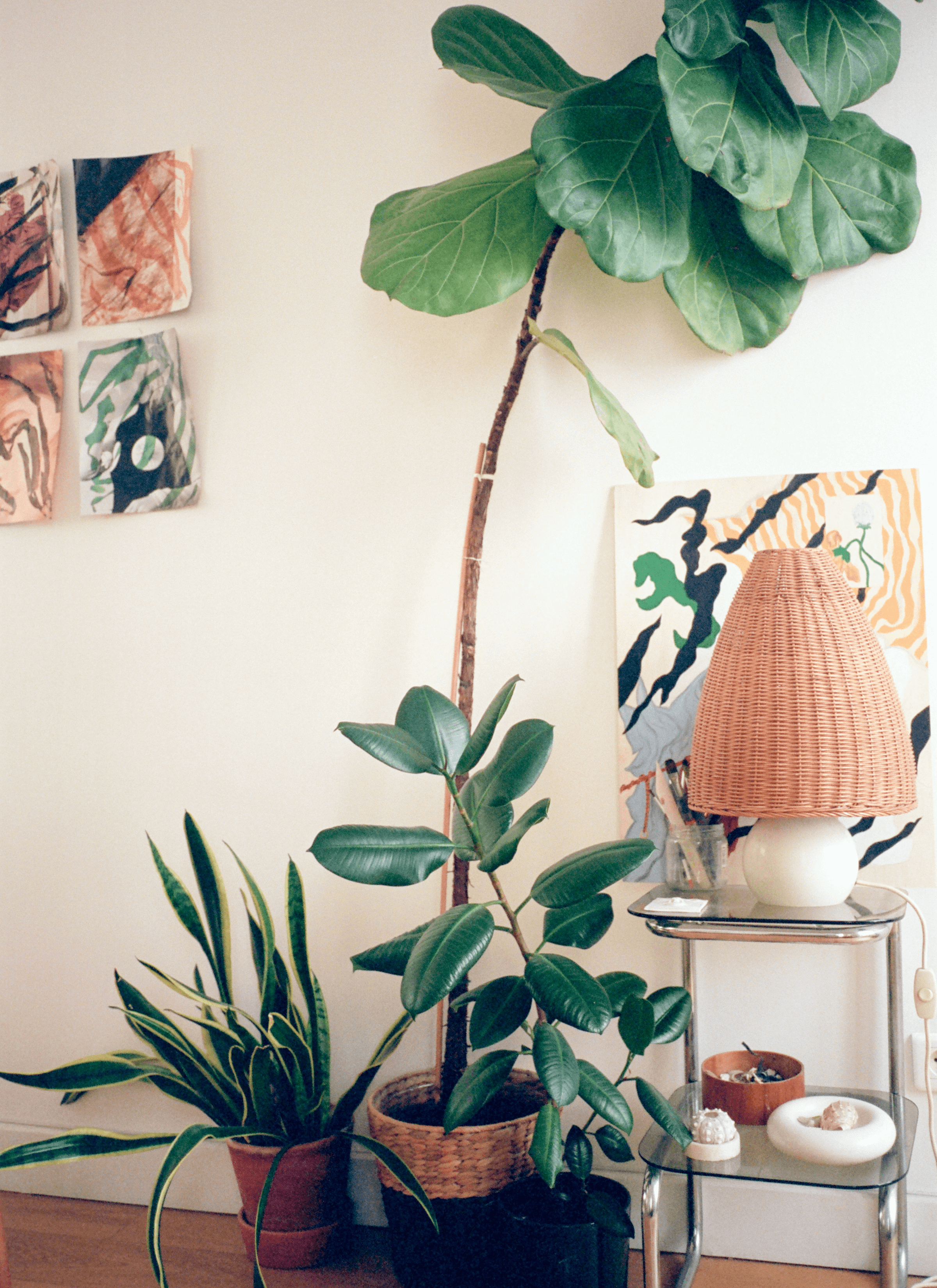 Potted plants - fiddle-leaf fig, rubber fig and snake plant next to the wall where hung a few pieces of art. And a small lamp on a two-layer table.
