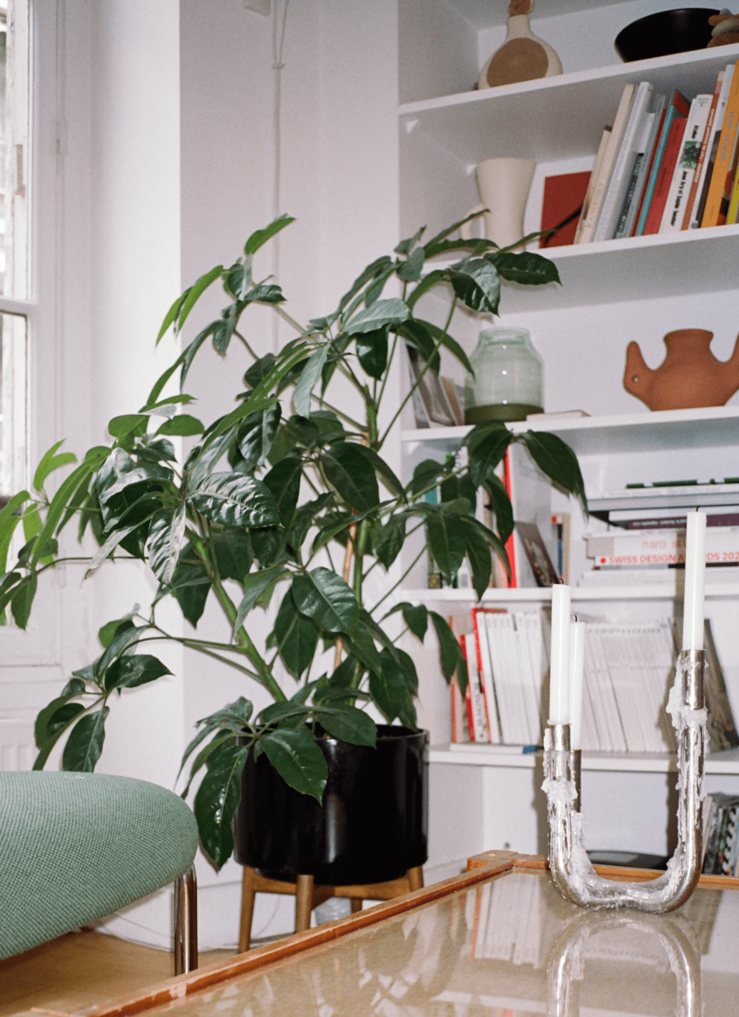A plant grows in a black pot in a corner of the room next to a chair. And there’s a shelf of books with some vessels as decorations - a silver-like candle holder on the table.