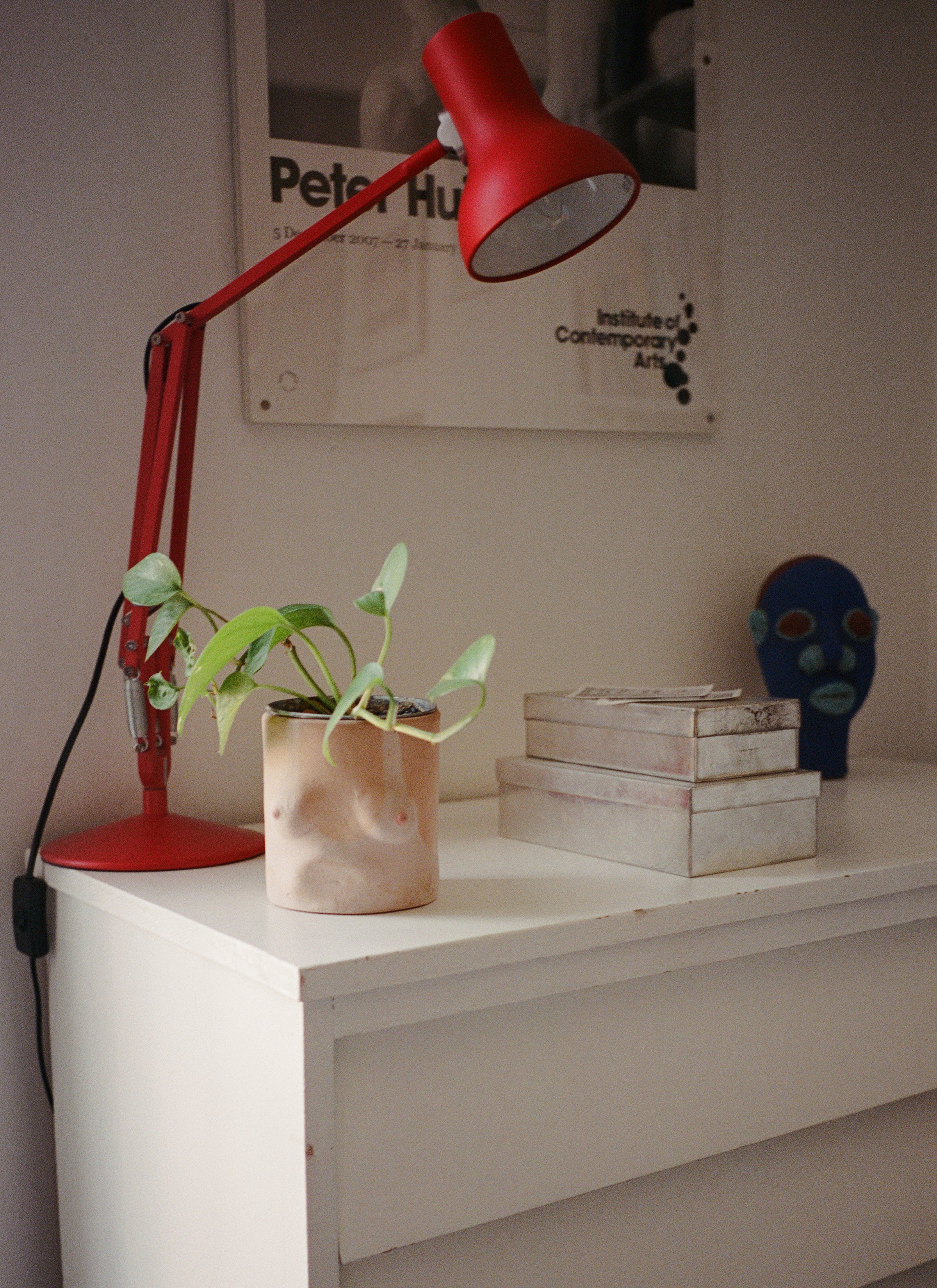 A pot of plants next to a red table lamp and a few box-like objects on a white cupboard. And there is a framed poster hung on the wall.