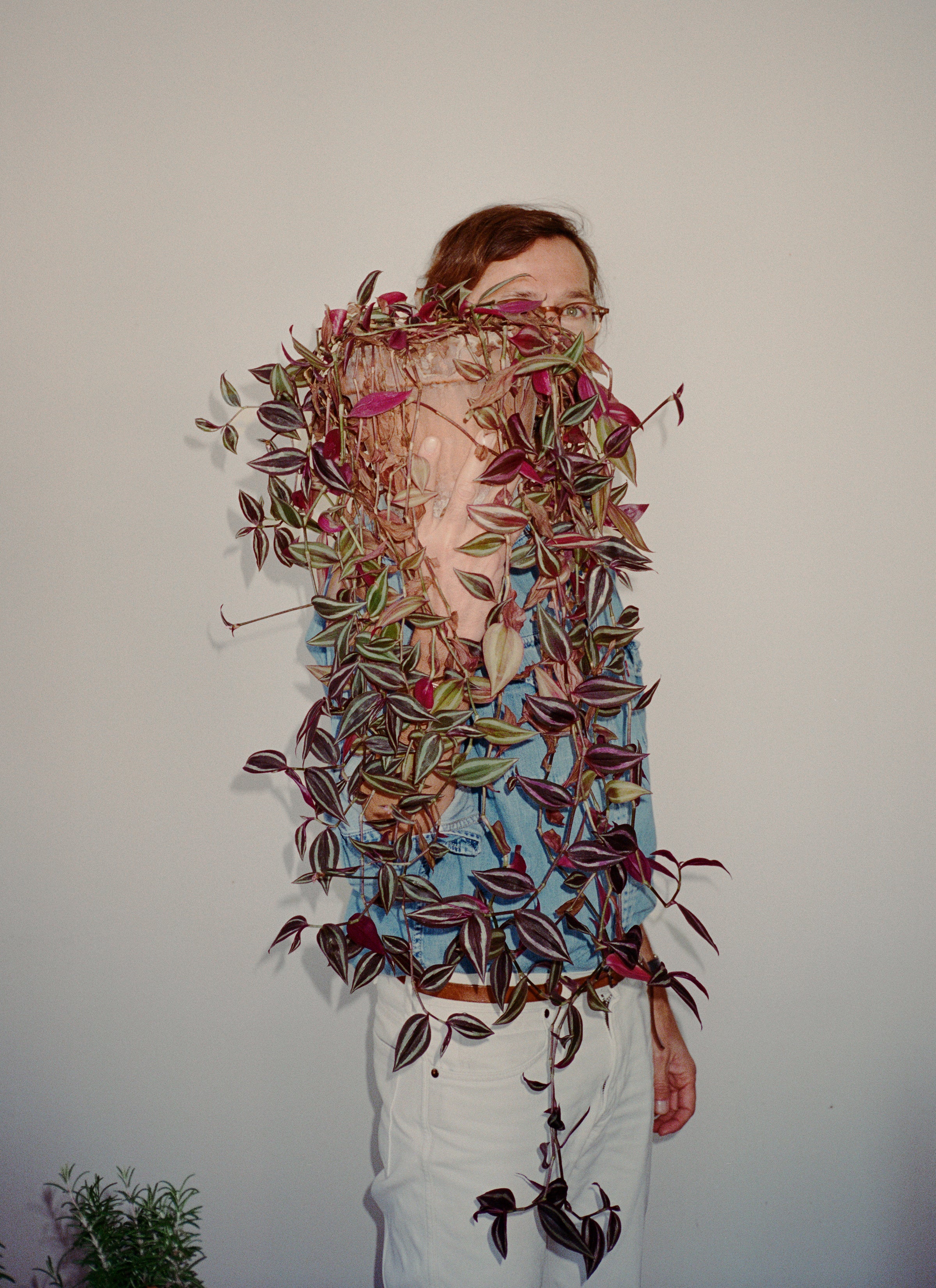 Mathias standing in front of a white wall holding a pot of Tradescantia purple passion flouring in front of his face.