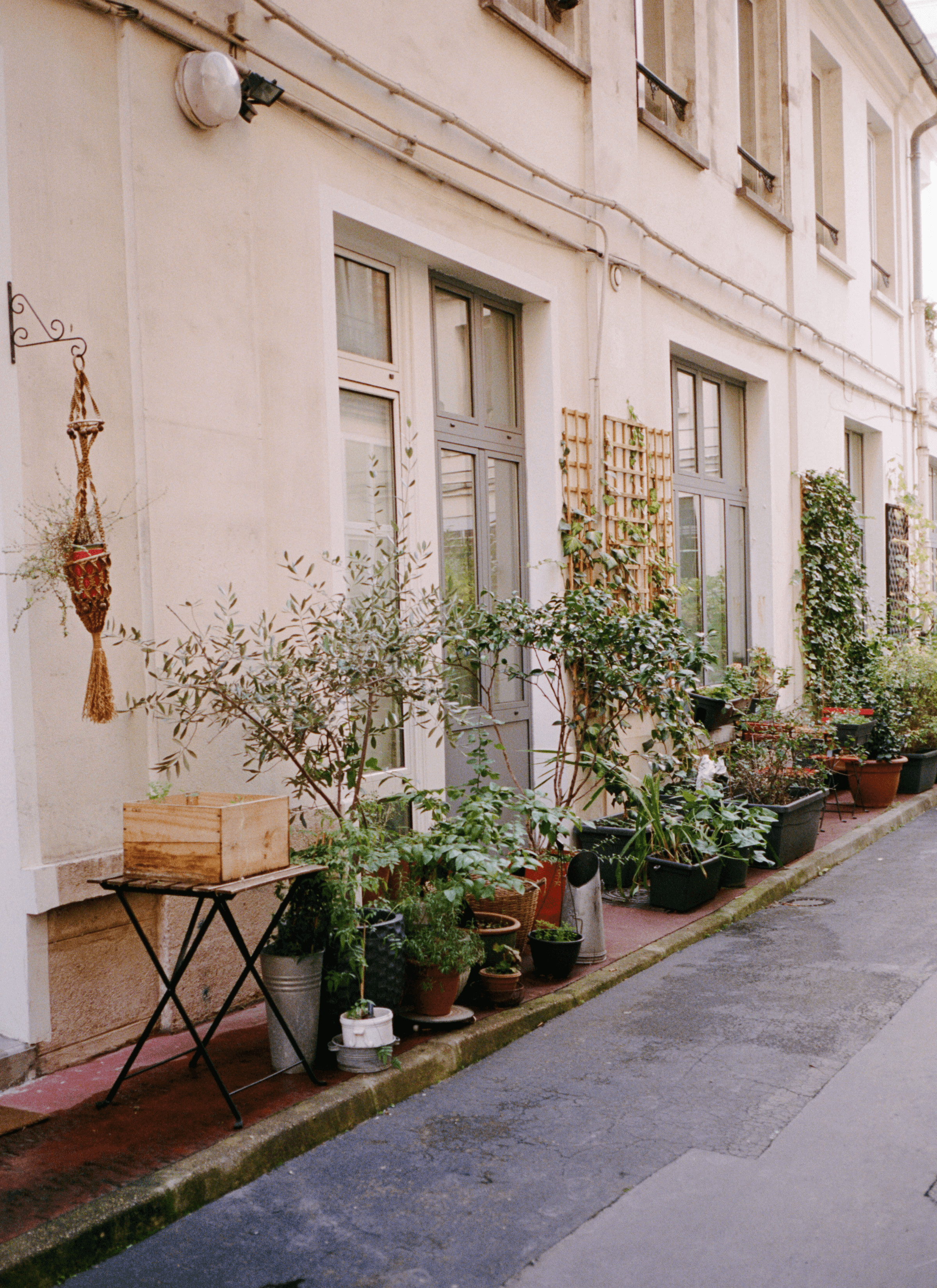 Street view photography. There are different kinds of potted plant along the street and some climb on the wall trellises.