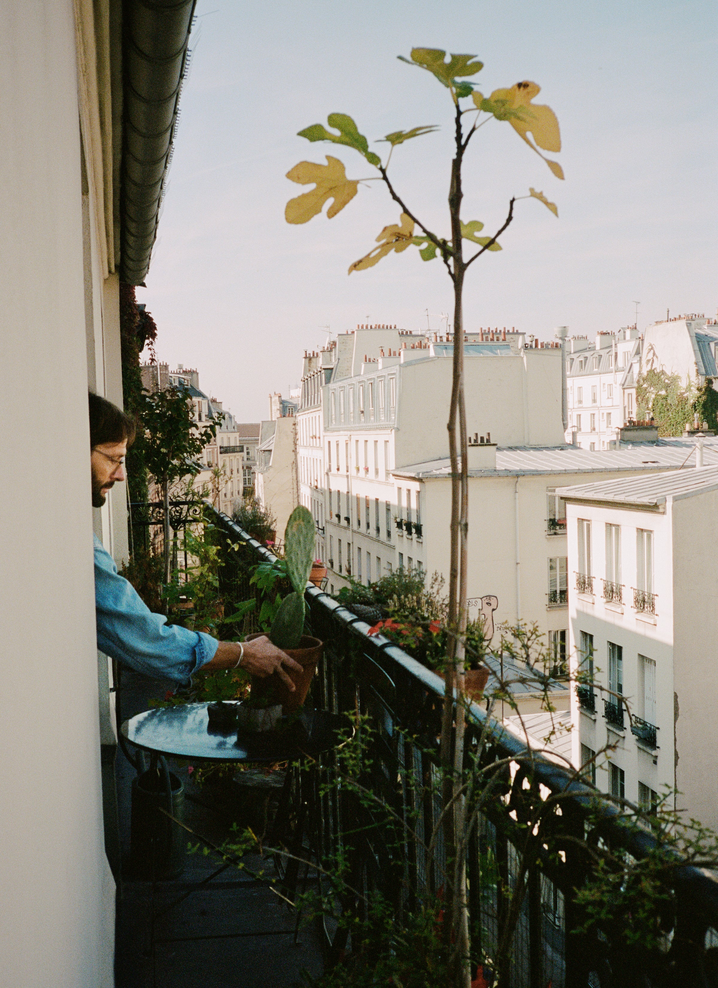 A photograph of Mathias and Geoffery’s balcony filled with plants and the city buildings as background.