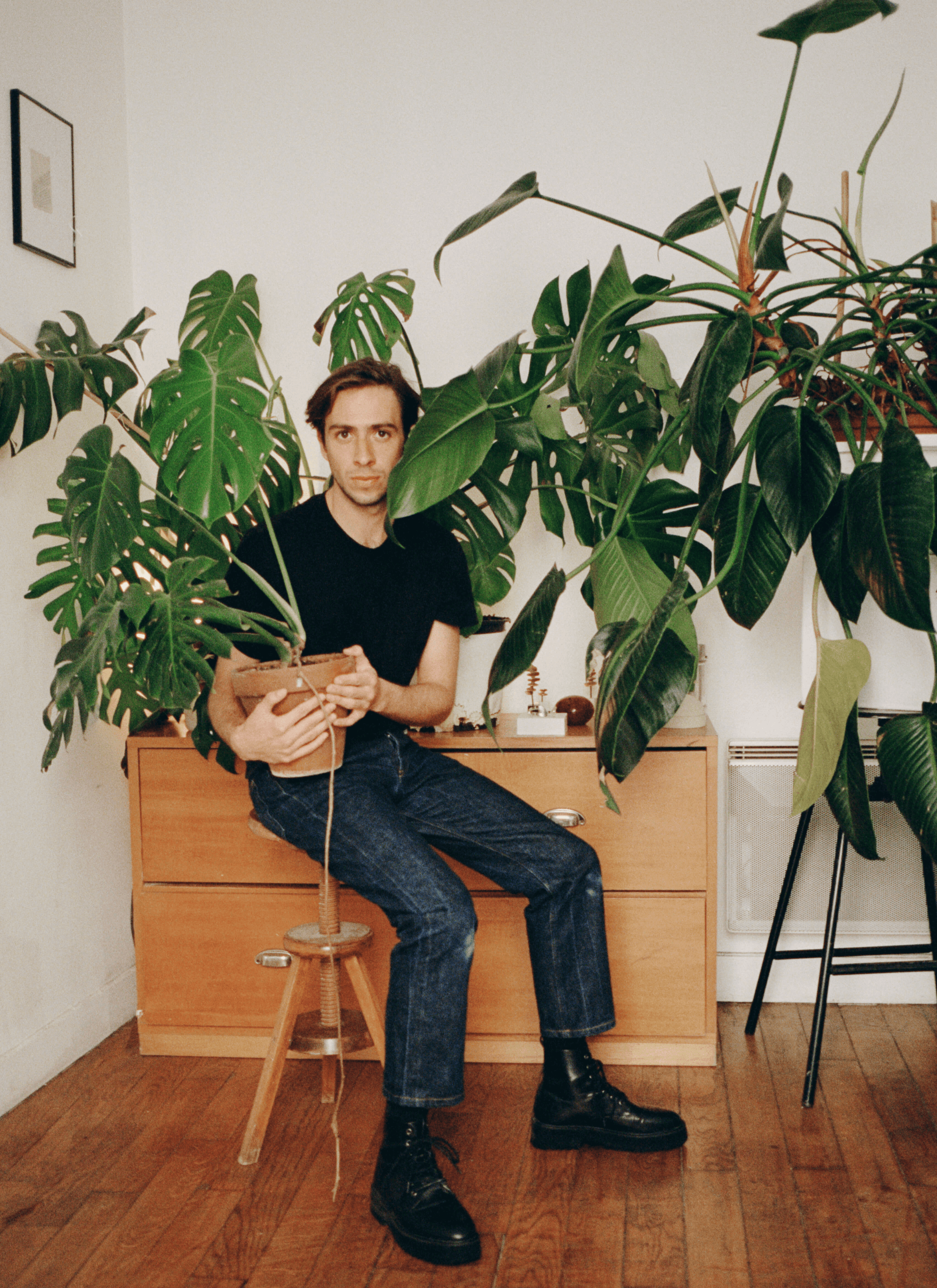 Toni wears a black t-shirt, jeans and a pair of black shoes sitting on the chair while holding a potted plant in his arms and being taken a photo with it. There is a potted Philodendron erubescens next to Toni while there is a cupboard behind him as well.