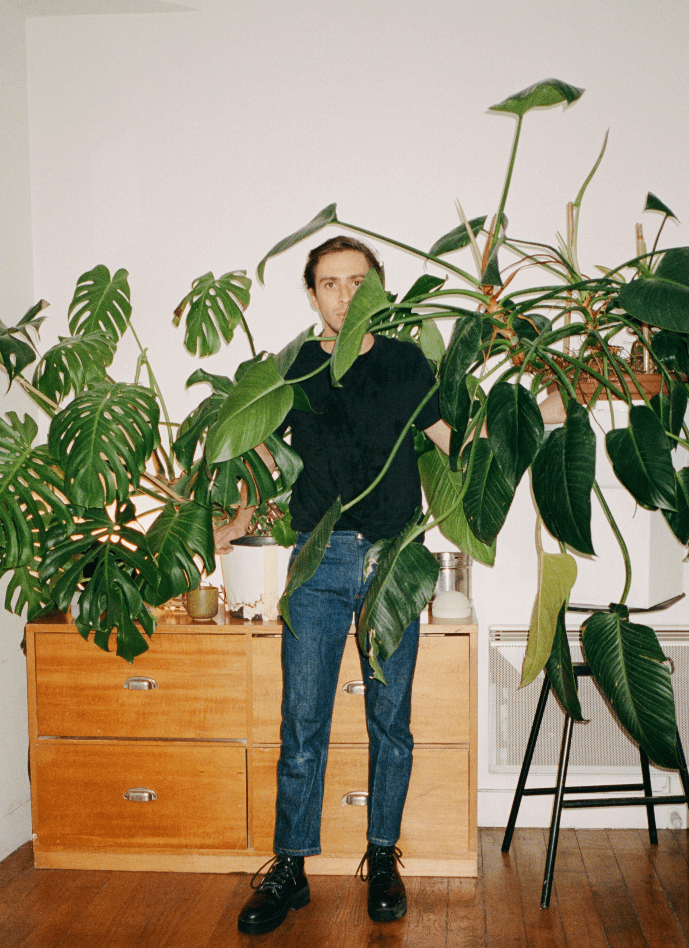 Toni in black t-shirt with blue jeans and a pair of black laced shoes, taking pictures with potted plants on both of right and left side. There are monstera and Philodendron erubescens while there's a cupboard sitting behind Toni.
