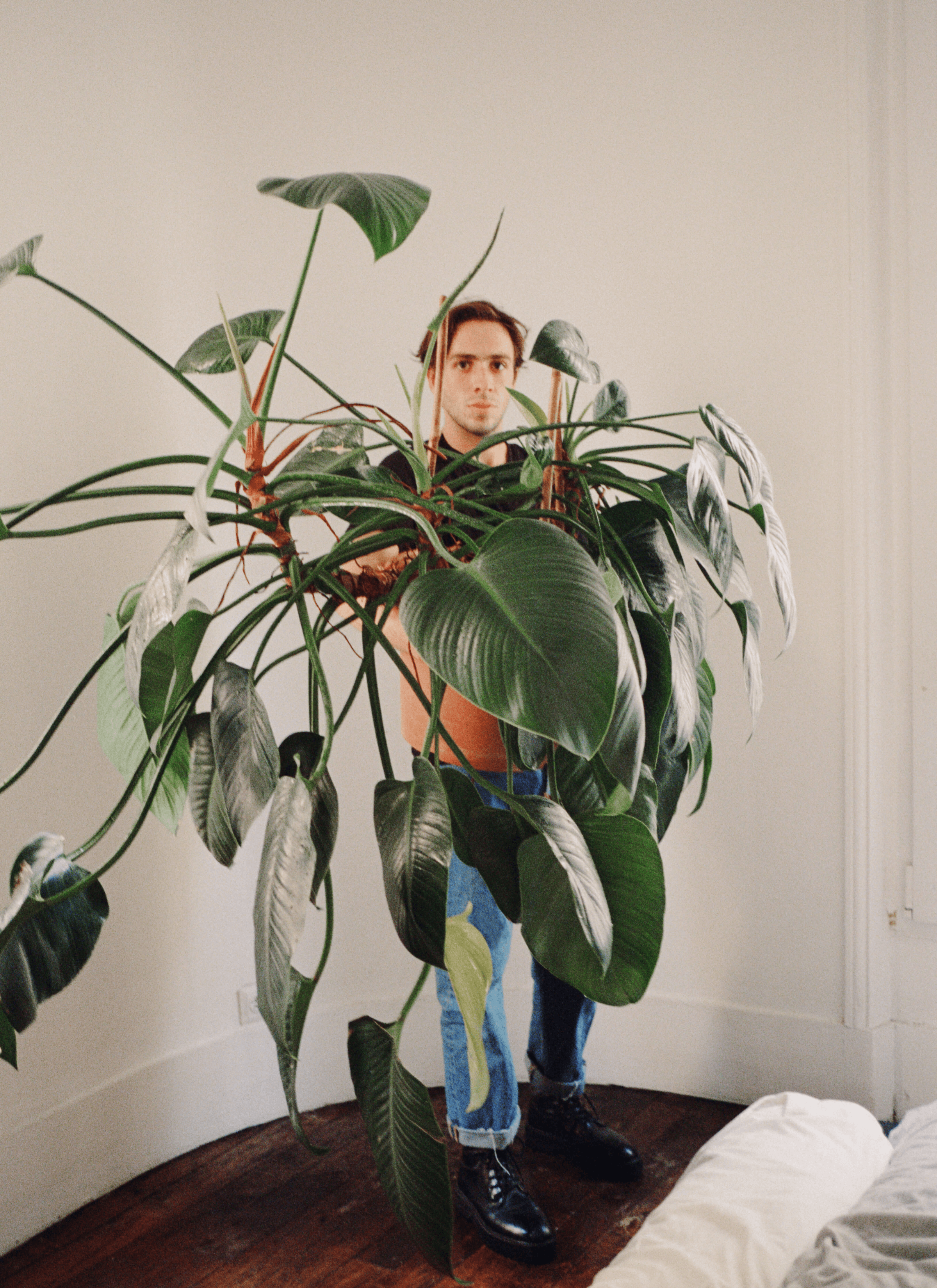 Toni holds a potted Philodendron erubescens in the corner of the room and have a photoshoot with it.