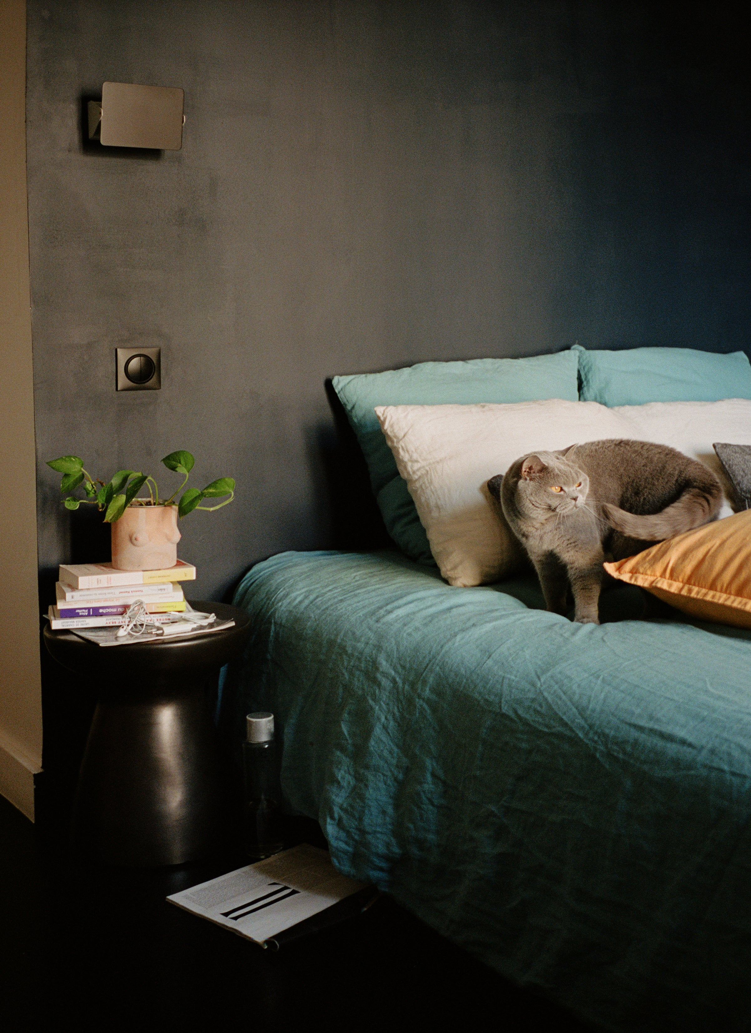 A blue-grey cat on the bed with a light greenish blue duvet cover and pillows. Next to the bed, there’s a black bedside table with some books layered up and a pot of plants on top of it.