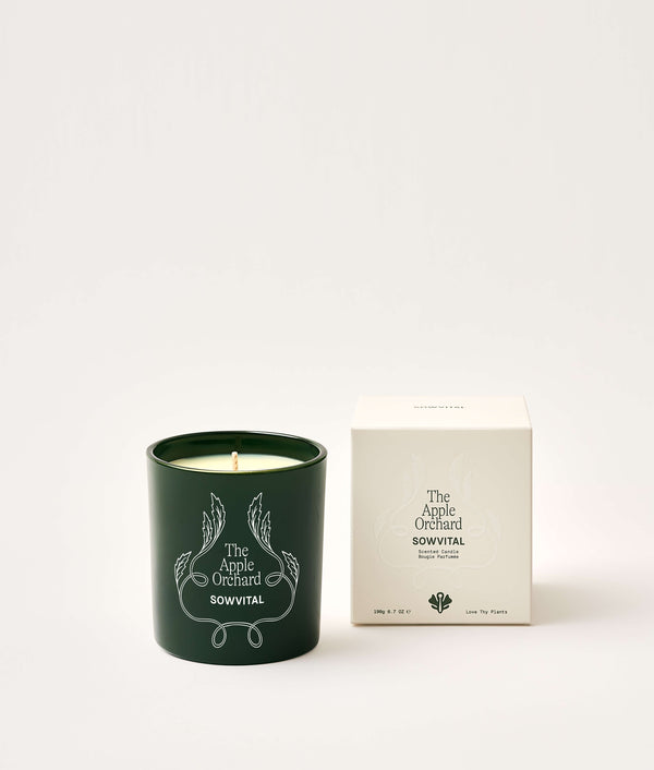Green candle with 'The Apple Orchard' branding next to its packaging on a white background