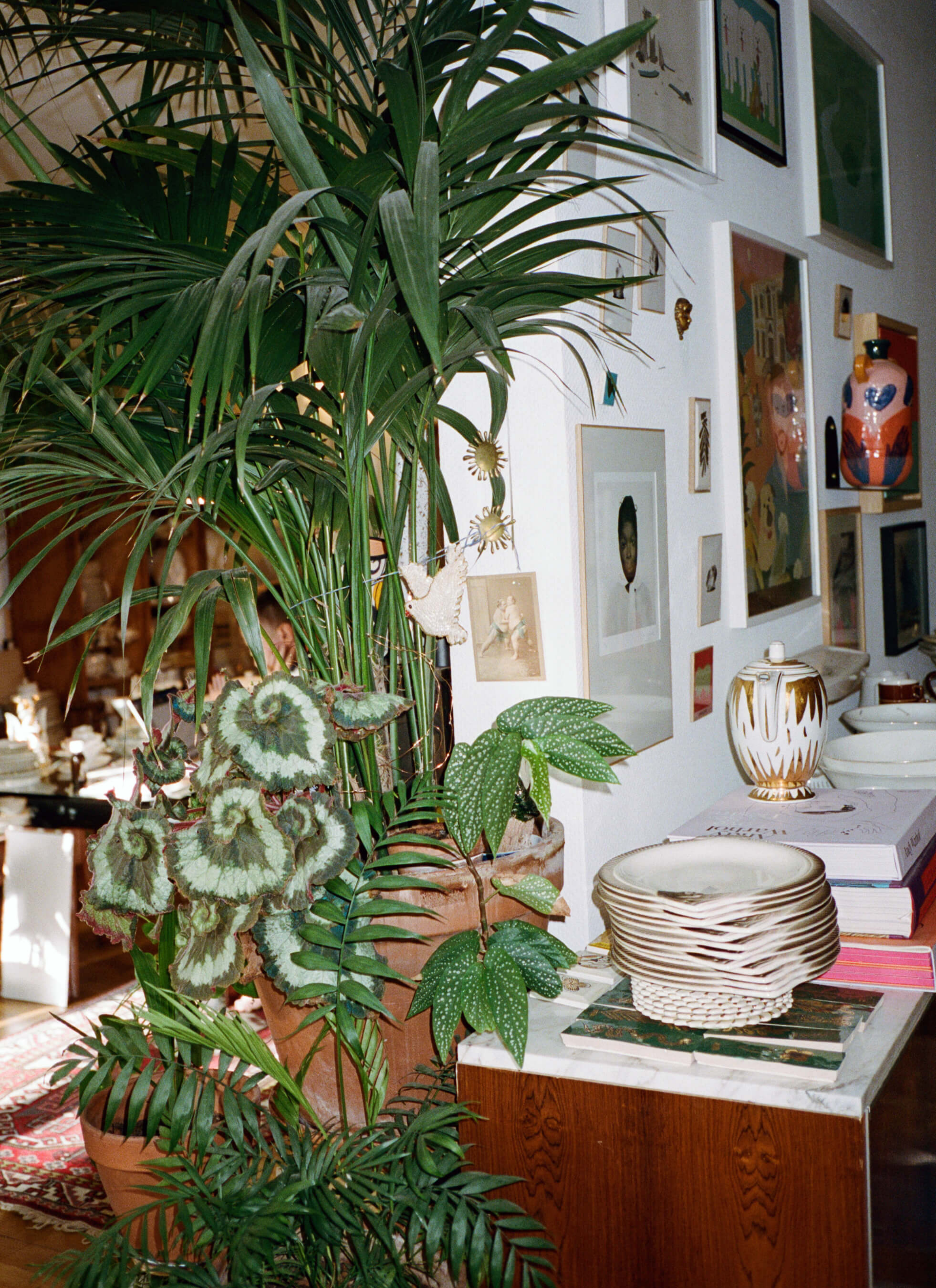 Different kinds of potted plants sitting next to a wall that had many images and paintings hung on the wall. And there is a pile of plates and books on the table next to the plants..