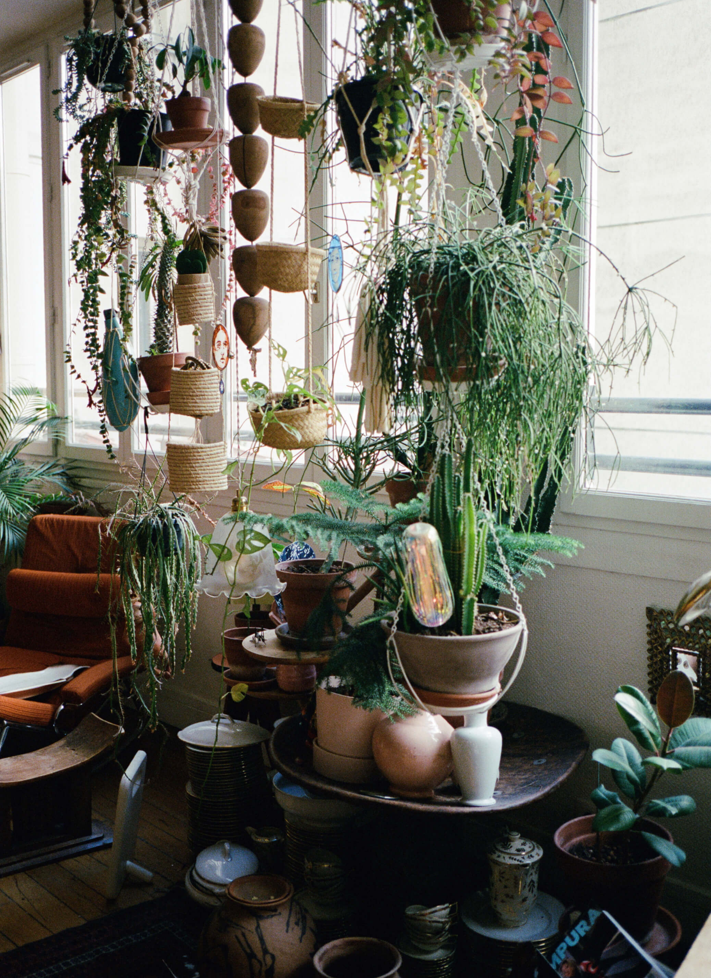 Loads of different kind of plants, some were hung up and some sit on the table next to the window.